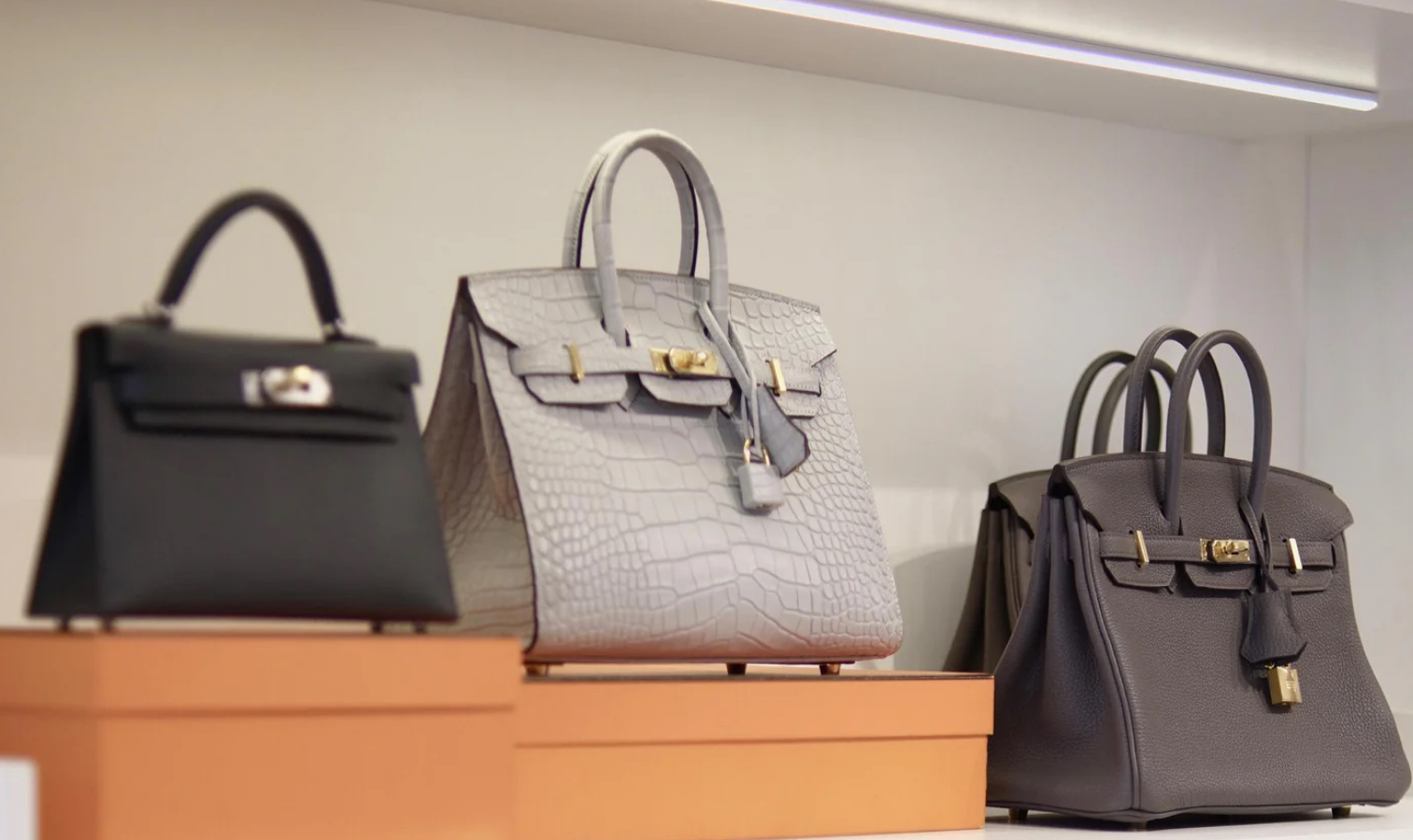 Three luxury handbags displayed on orange boxes against a light gray wall: a black leather bag on the left, a light gray crocodile-embossed bag in the center, and a dark gray leather bag on the right.