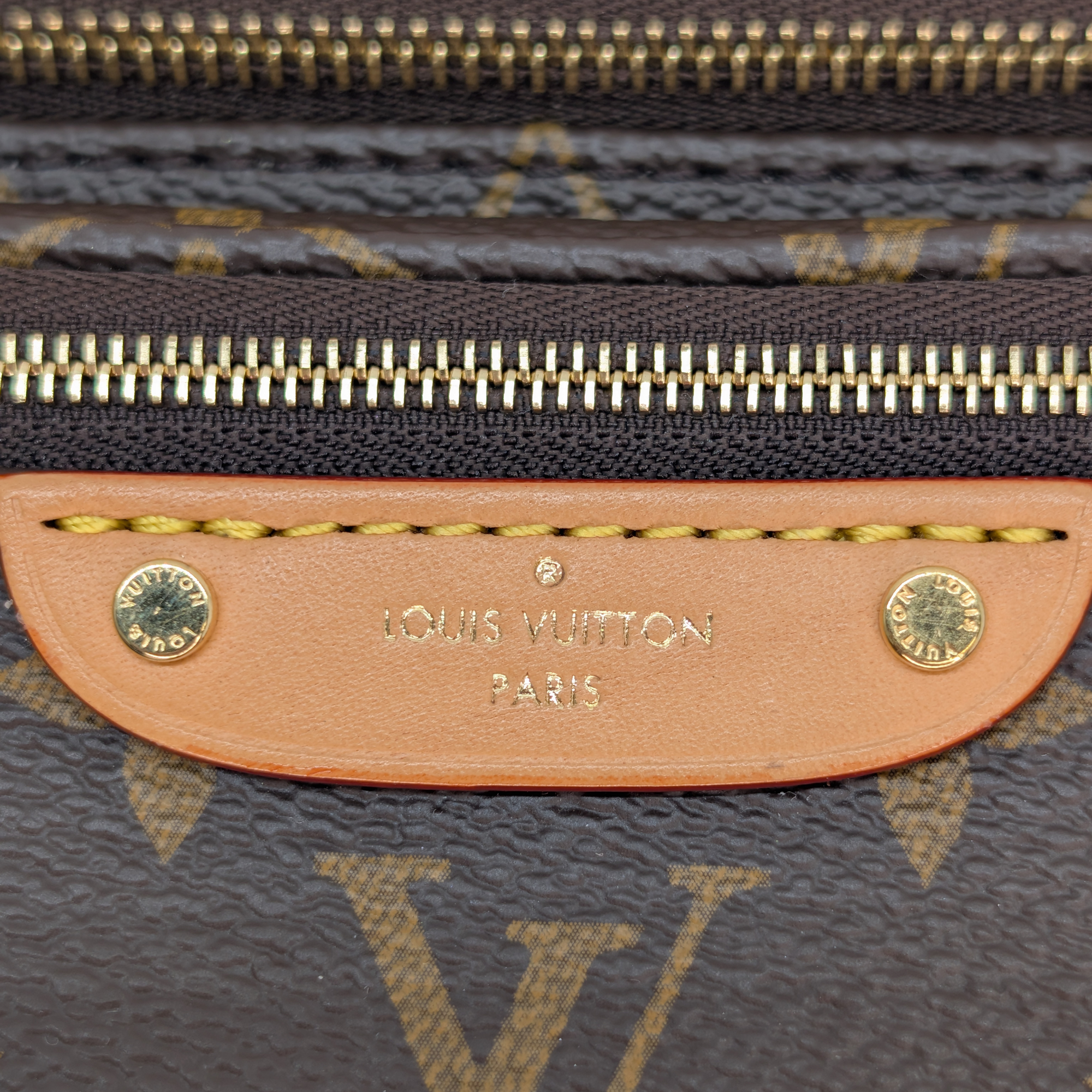 Louis Vuitton Mini Bumbag Monogram Brown