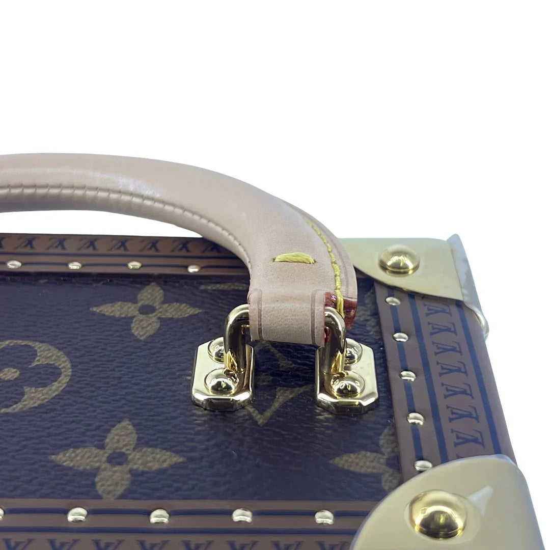 Louis Vuitton Monogram Camera Box Bag Crossbody