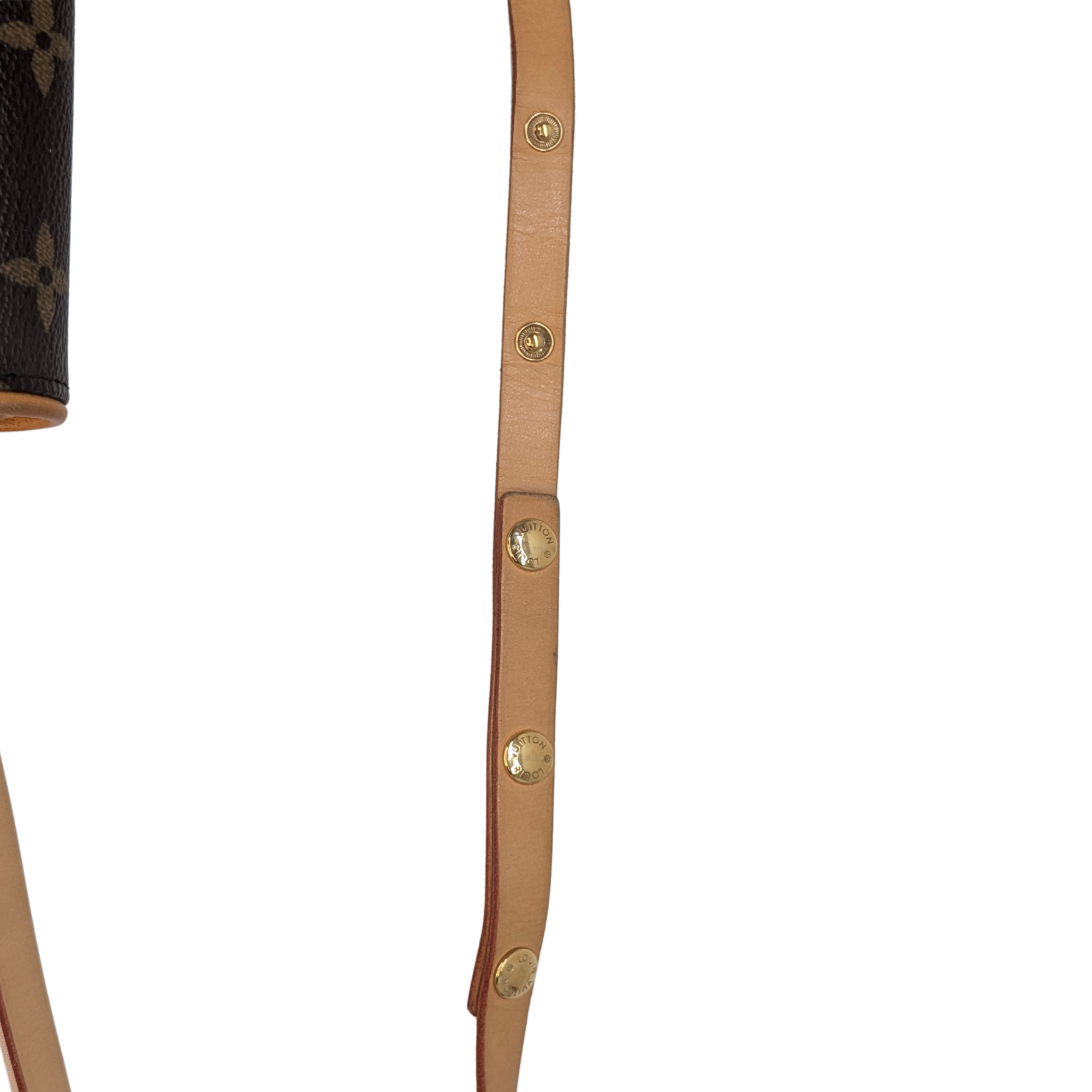 Louis Vuitton Pochette Florentine Belt Bag