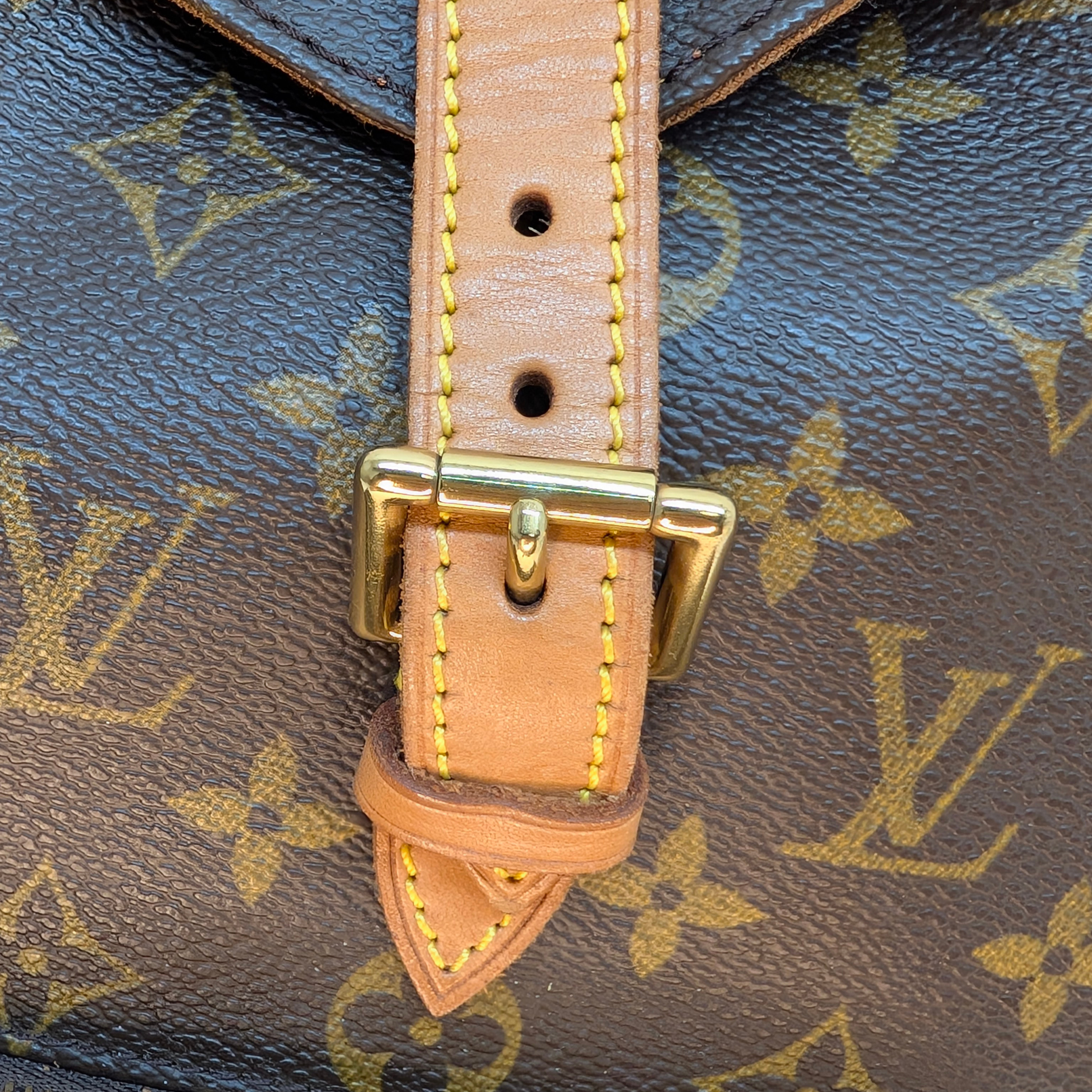 Louis Vuitton Monogram Montsouris MM Backpack