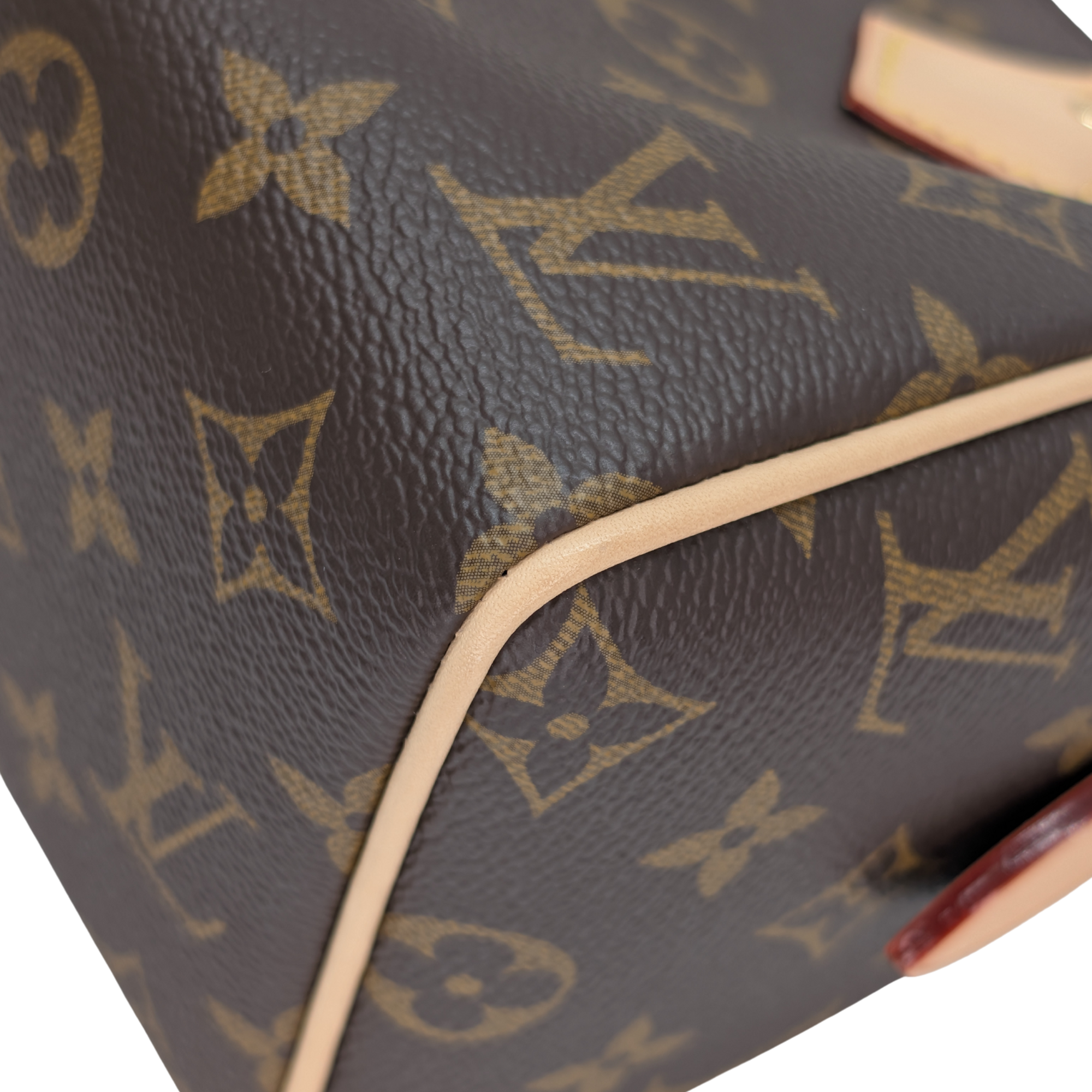 Louis Vuitton Speedy Bandoulière 20 Handbag Brown