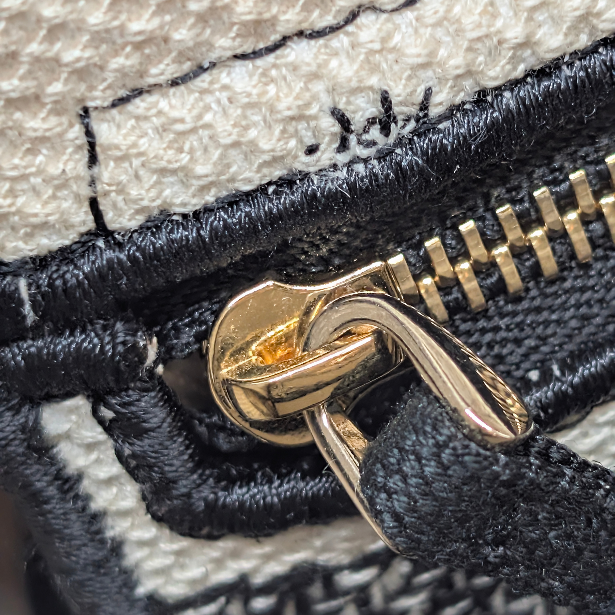 Dior Lady D-Lite Medium Toile de Jouy Zodiac Bag