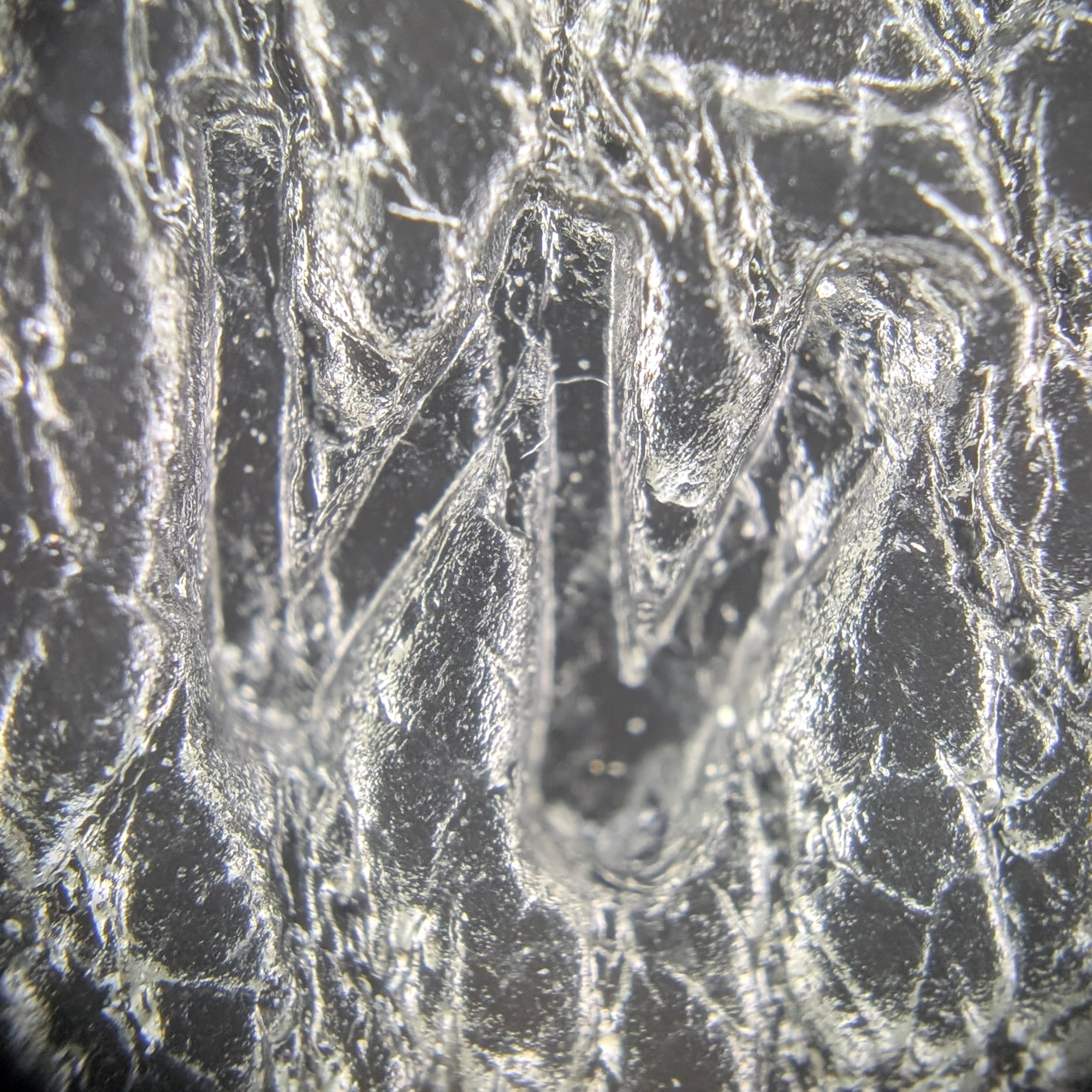 Hermès Kelly 28 SHW Box Leather W Stamp 2024 Black