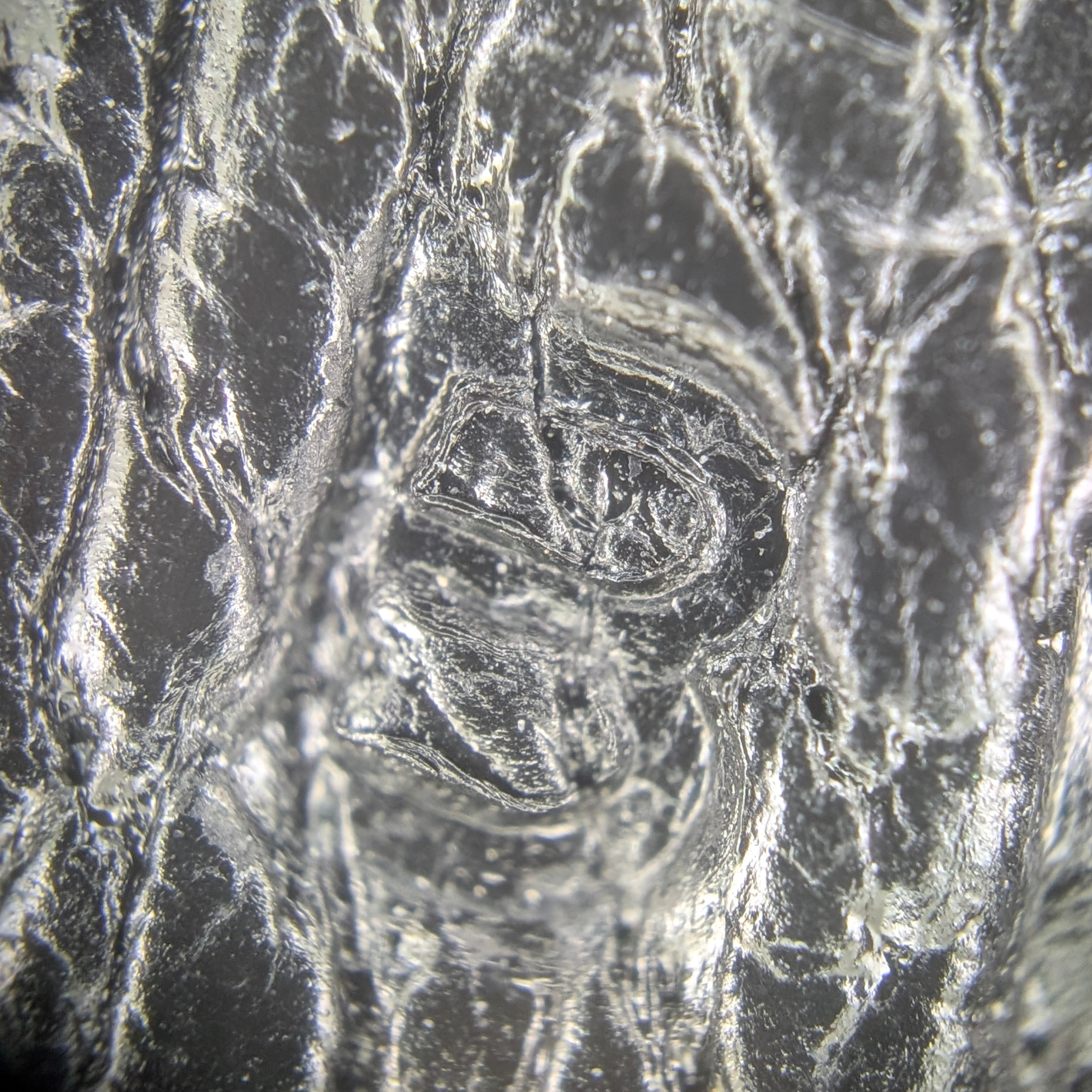 Hermès Kelly 28 SHW Box Leather W Stamp 2024 Black