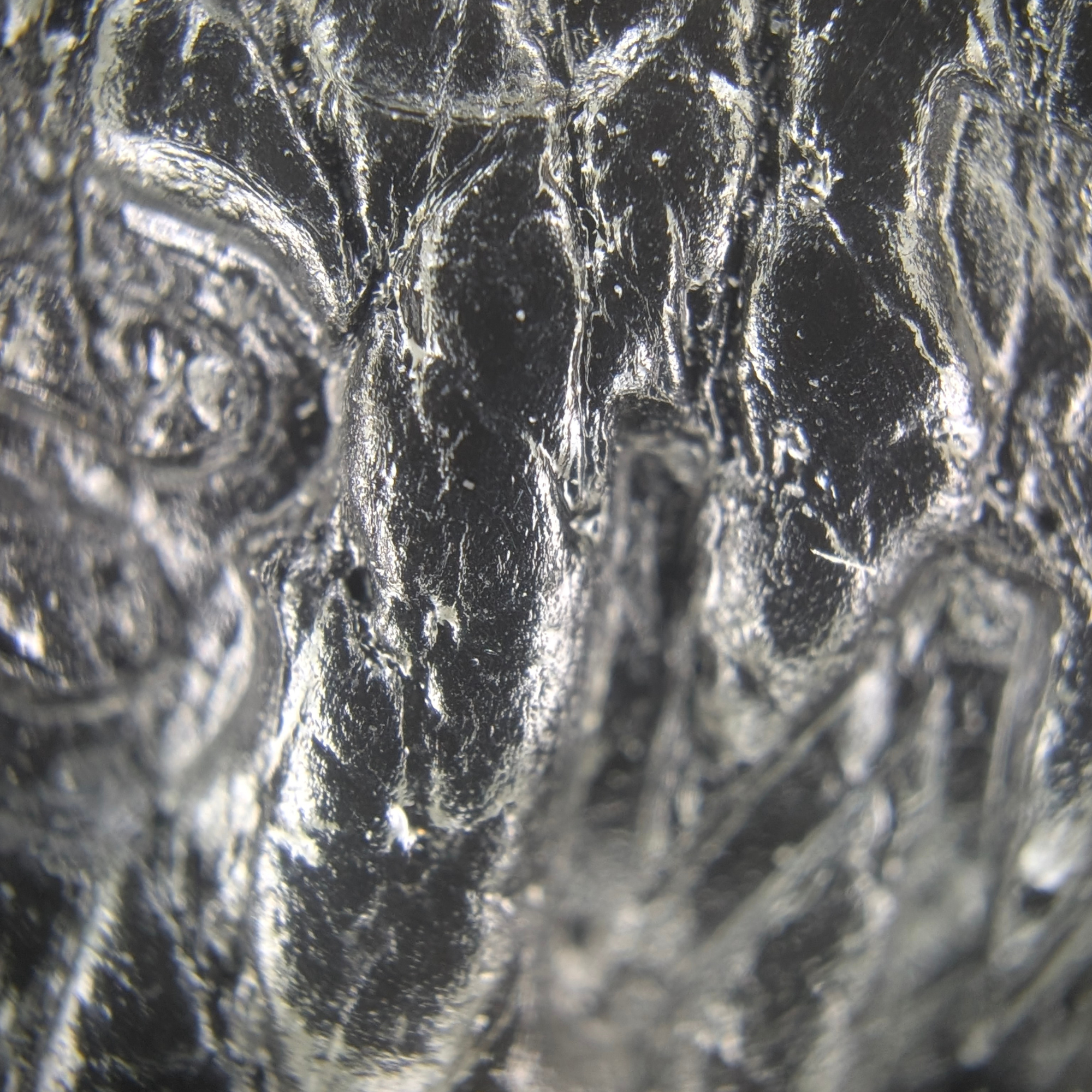 Hermès Kelly 28 SHW Box Leather W Stamp 2024 Black