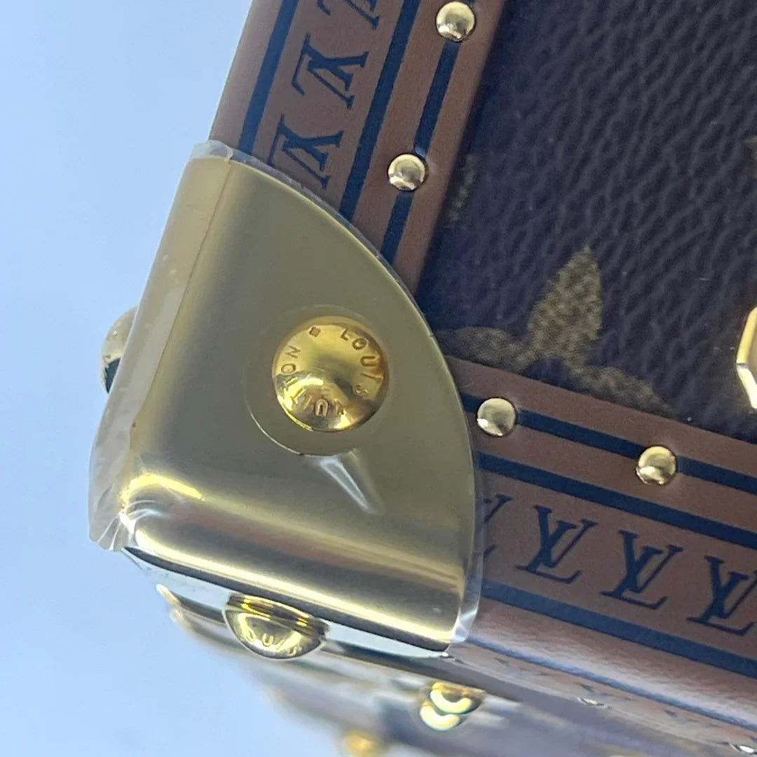 Louis Vuitton Monogram Camera Box Bag Crossbody