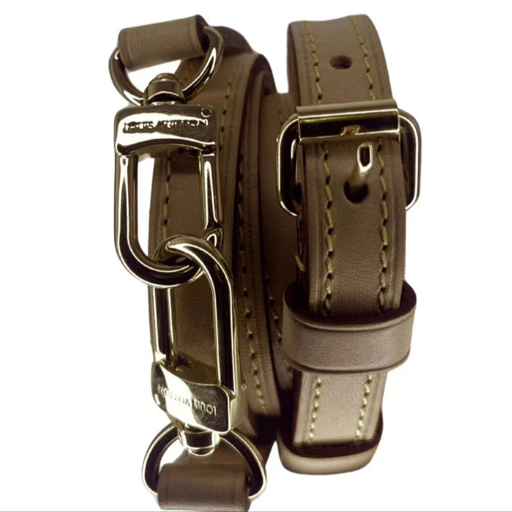 Louis Vuitton Monogram Camera Box Bag Crossbody