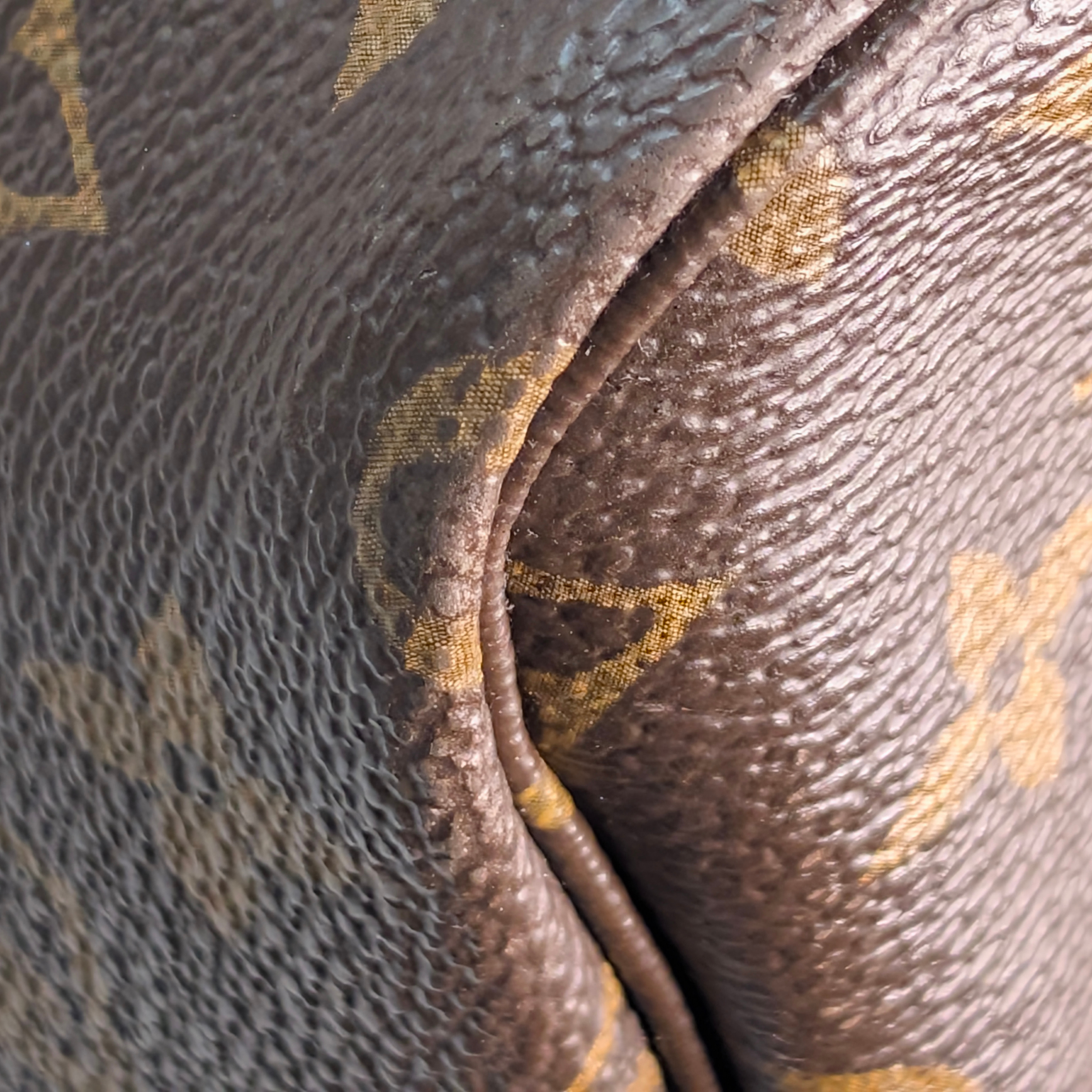 Louis Vuitton Neverfull GM Monogram Bag