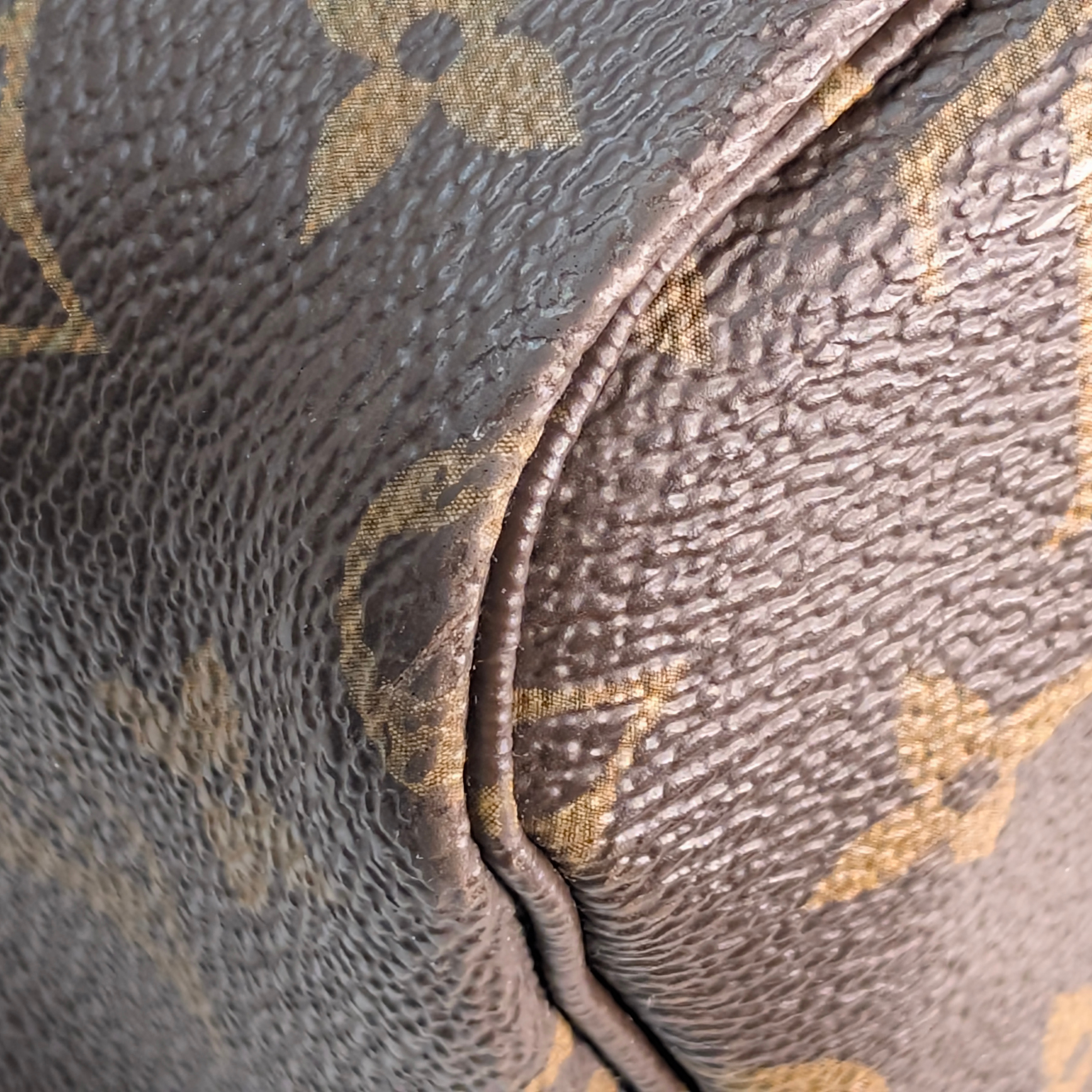 Louis Vuitton Neverfull GM Monogram Bag