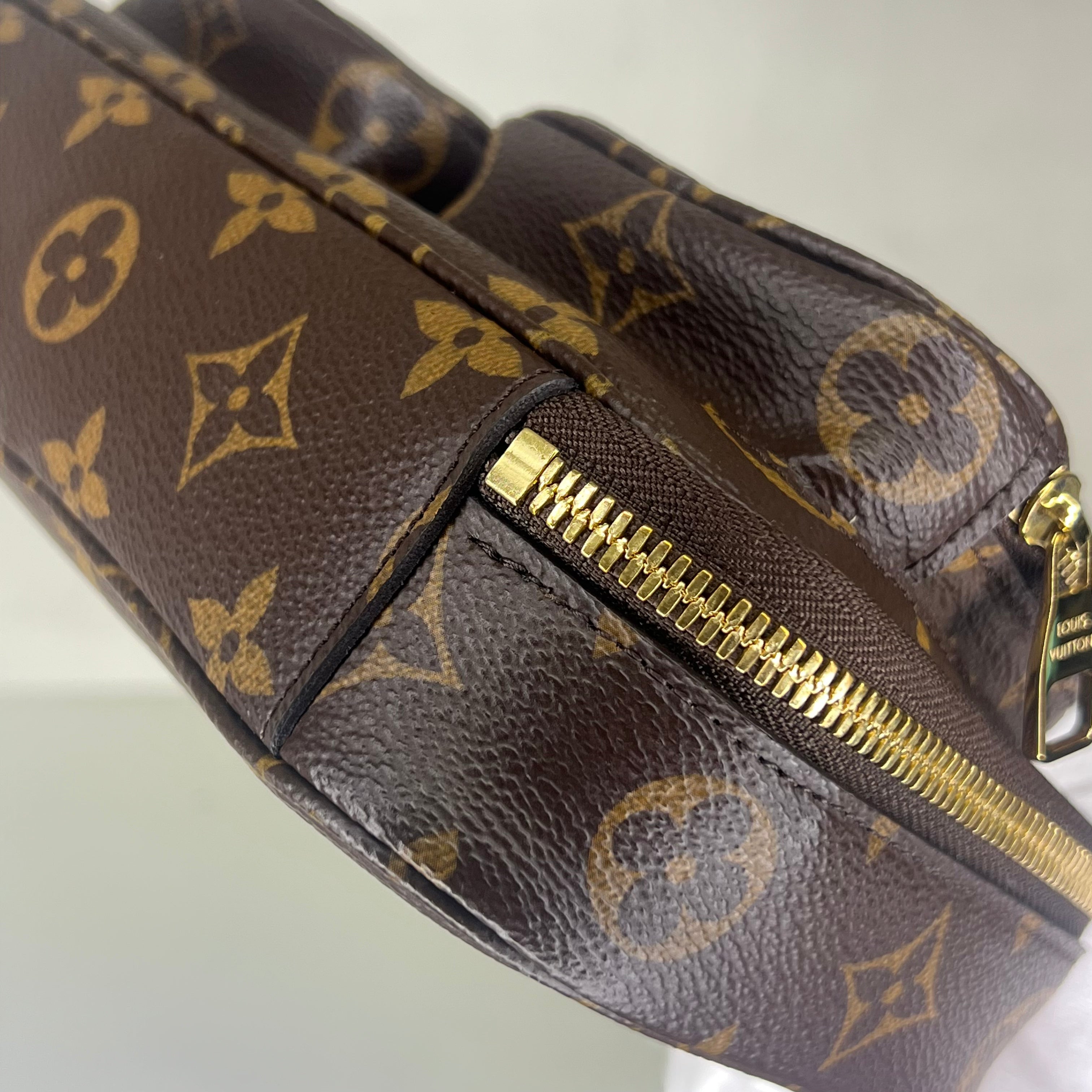 Louis Vuitton Monogram Crossbody Utility Bag