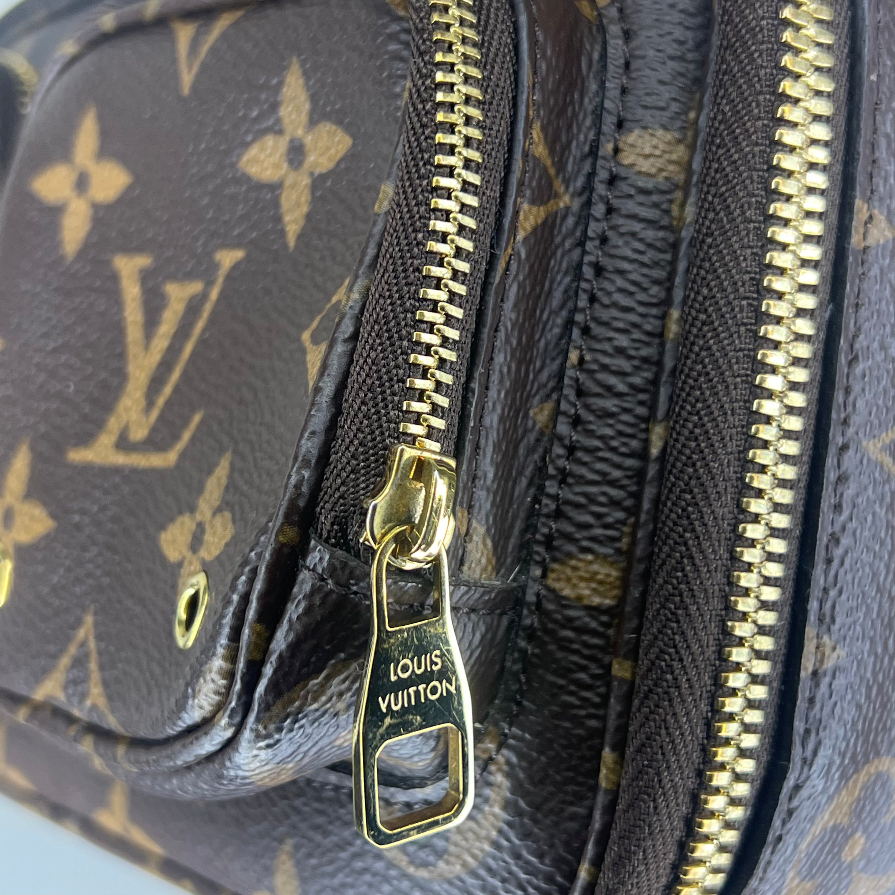 Louis Vuitton Monogram Crossbody Utility Bag