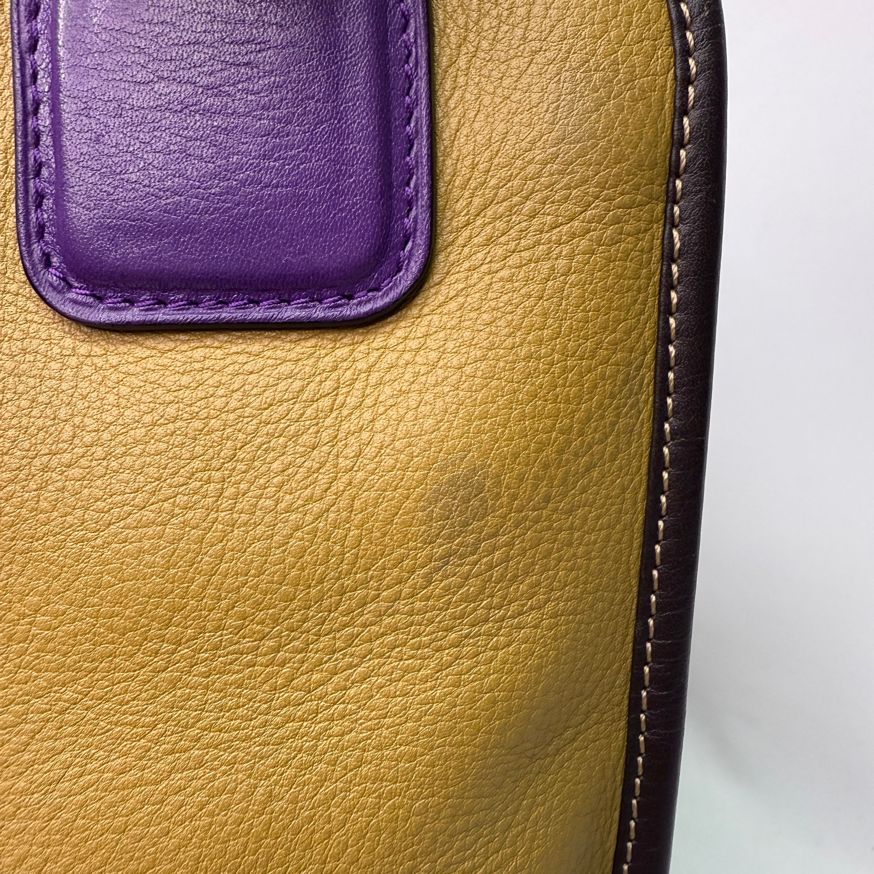 Loewe Tricolour Pebbled Handbag Leather Tan Purple