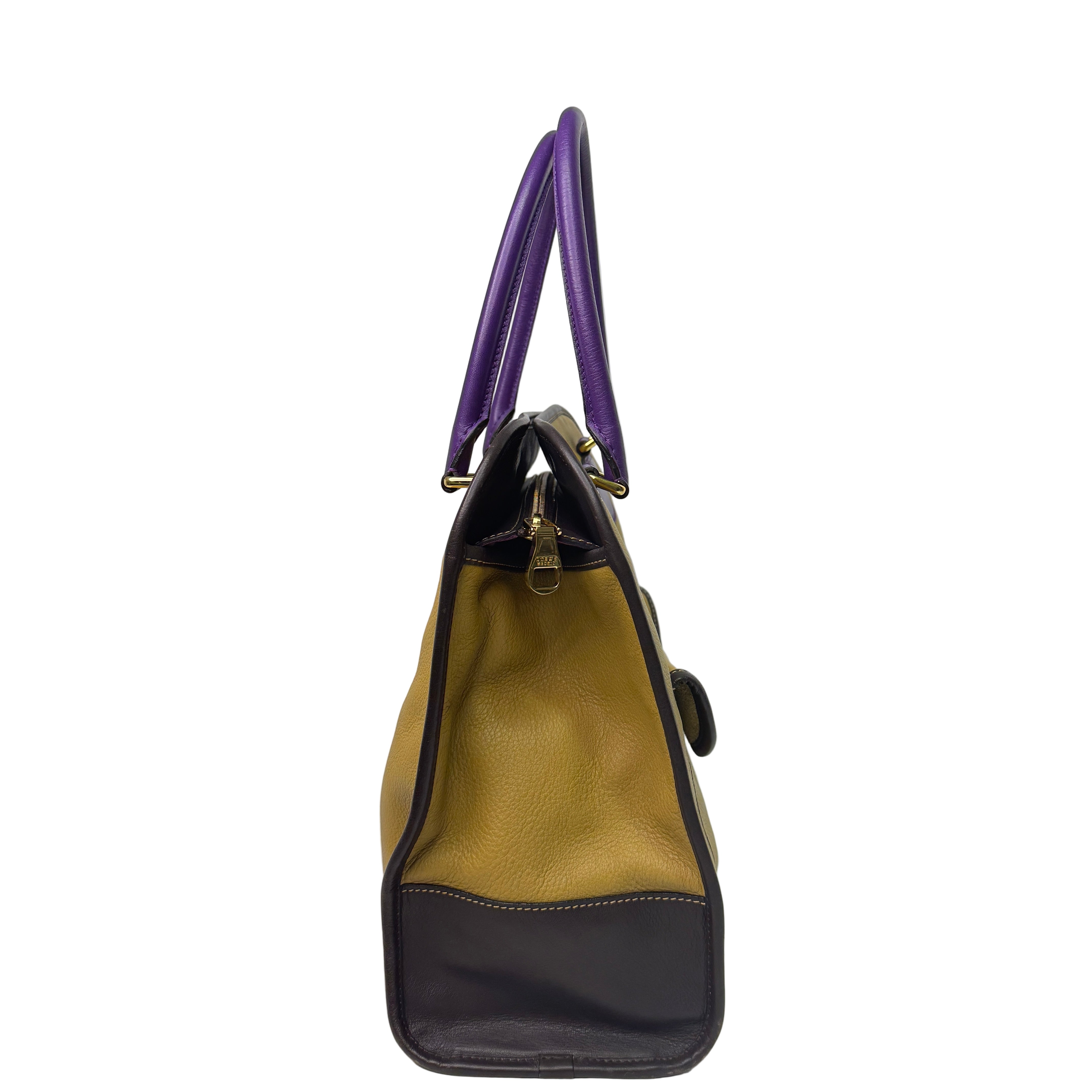 Loewe Tricolour Pebbled Handbag Leather Tan Purple