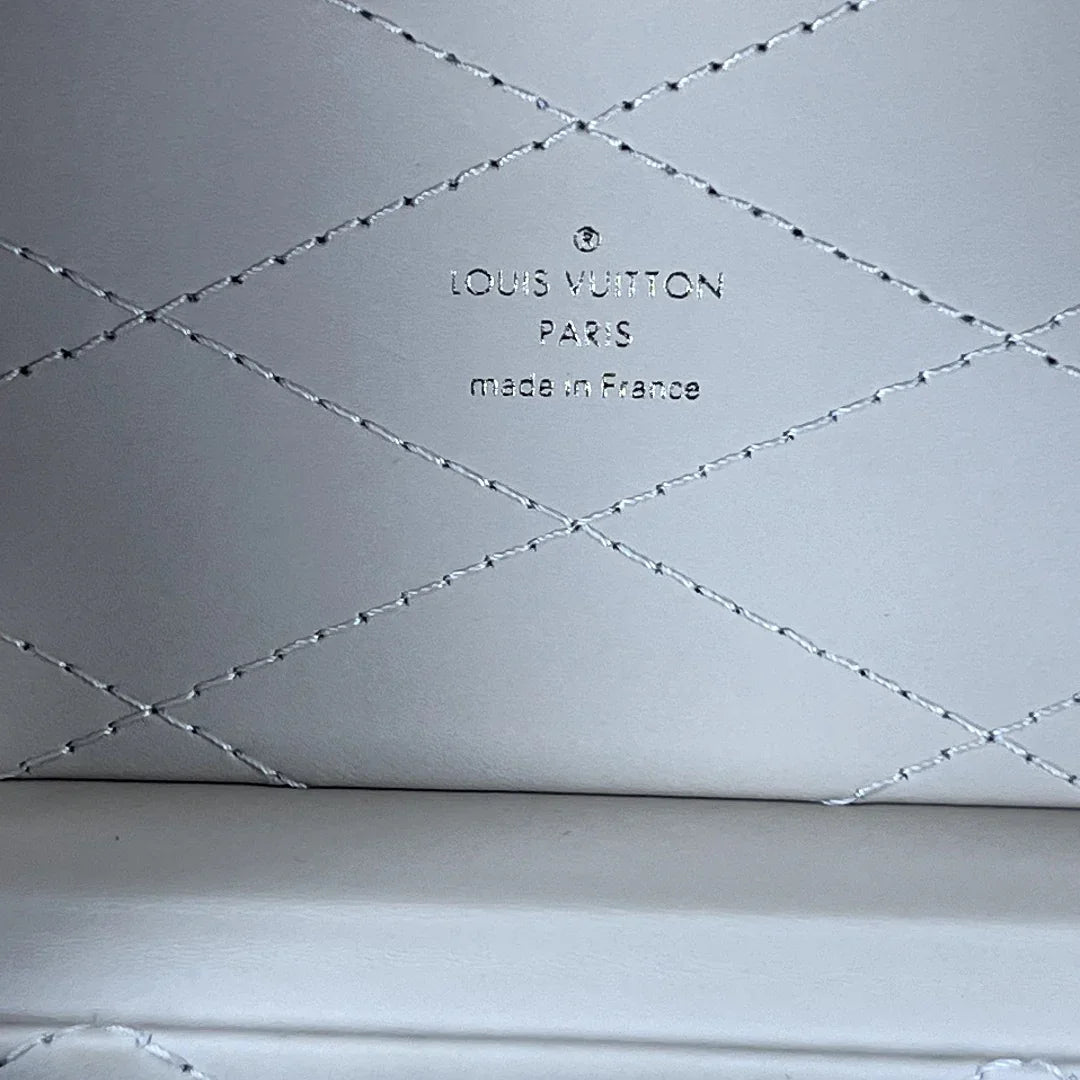 Louis Vuitton Monogram Camera Box Bag Crossbody