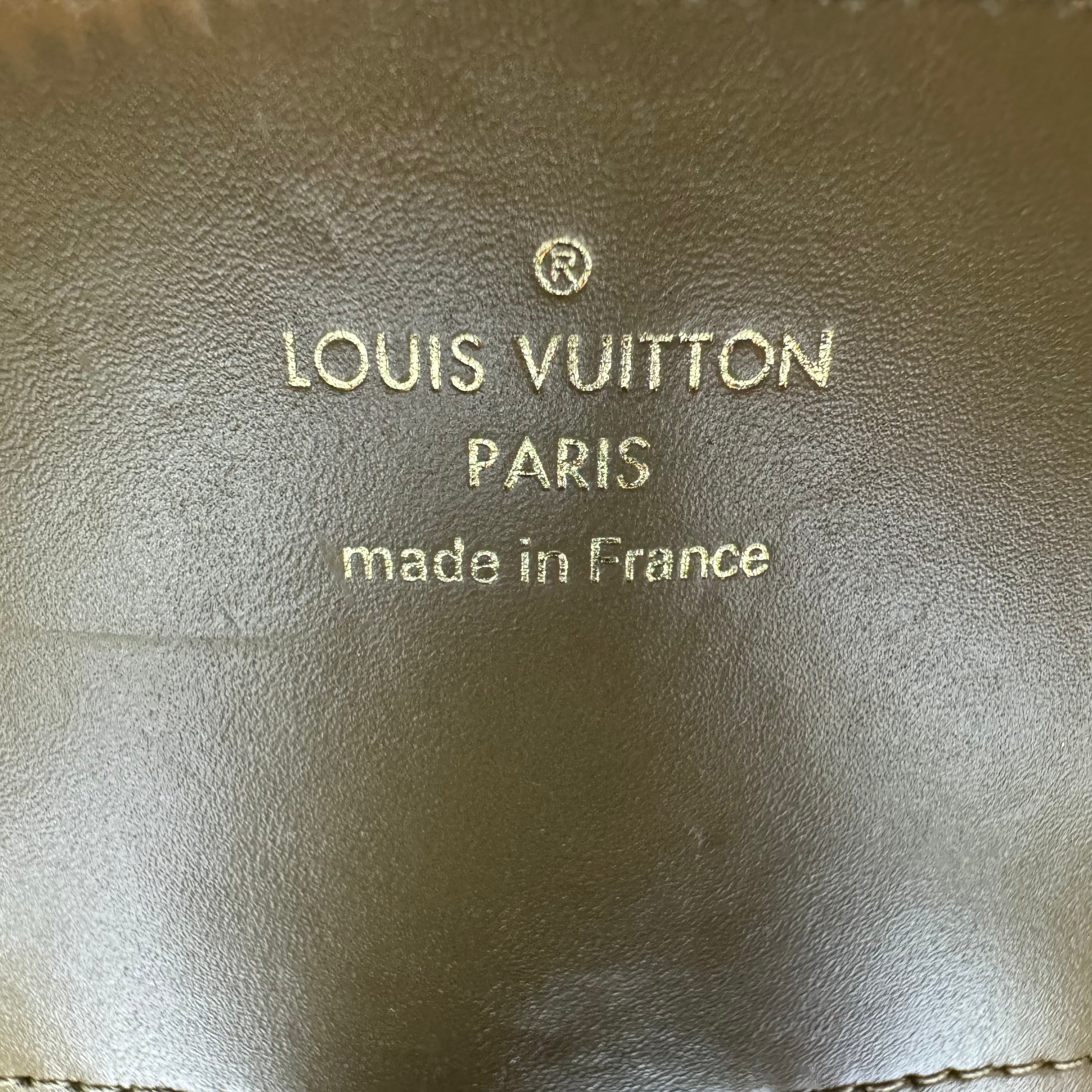 Louis Vuitton Monogram Crossbody Utility Bag