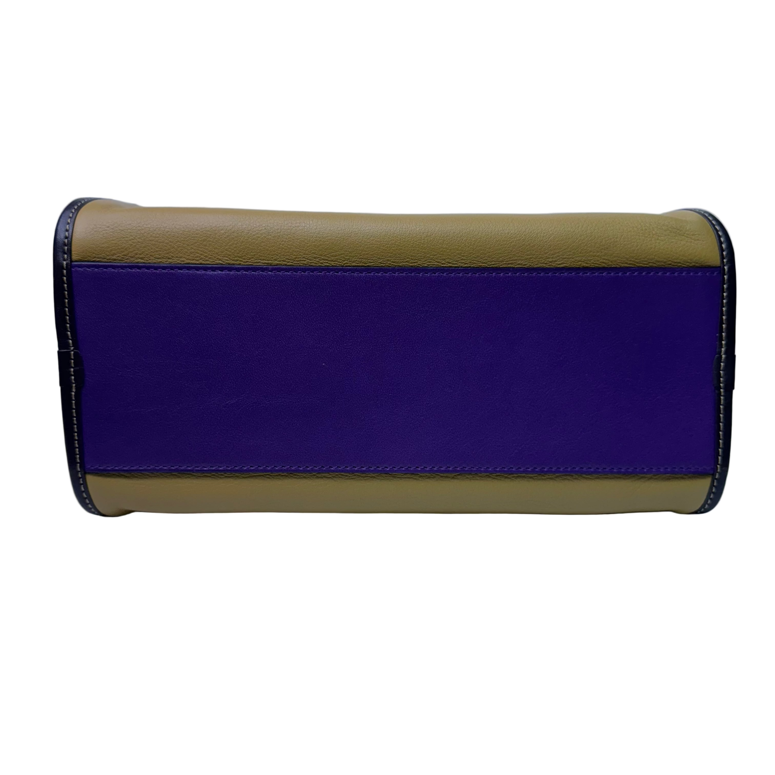 Loewe Tricolour Pebbled Handbag Leather Tan Purple