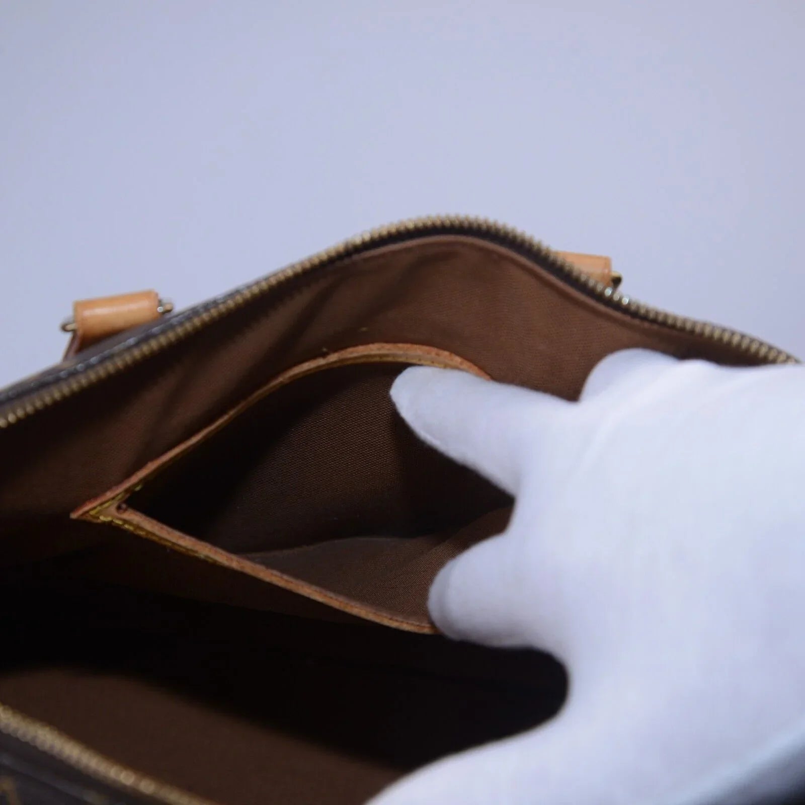 Louis Vuitton Alma PM Monogram Bag