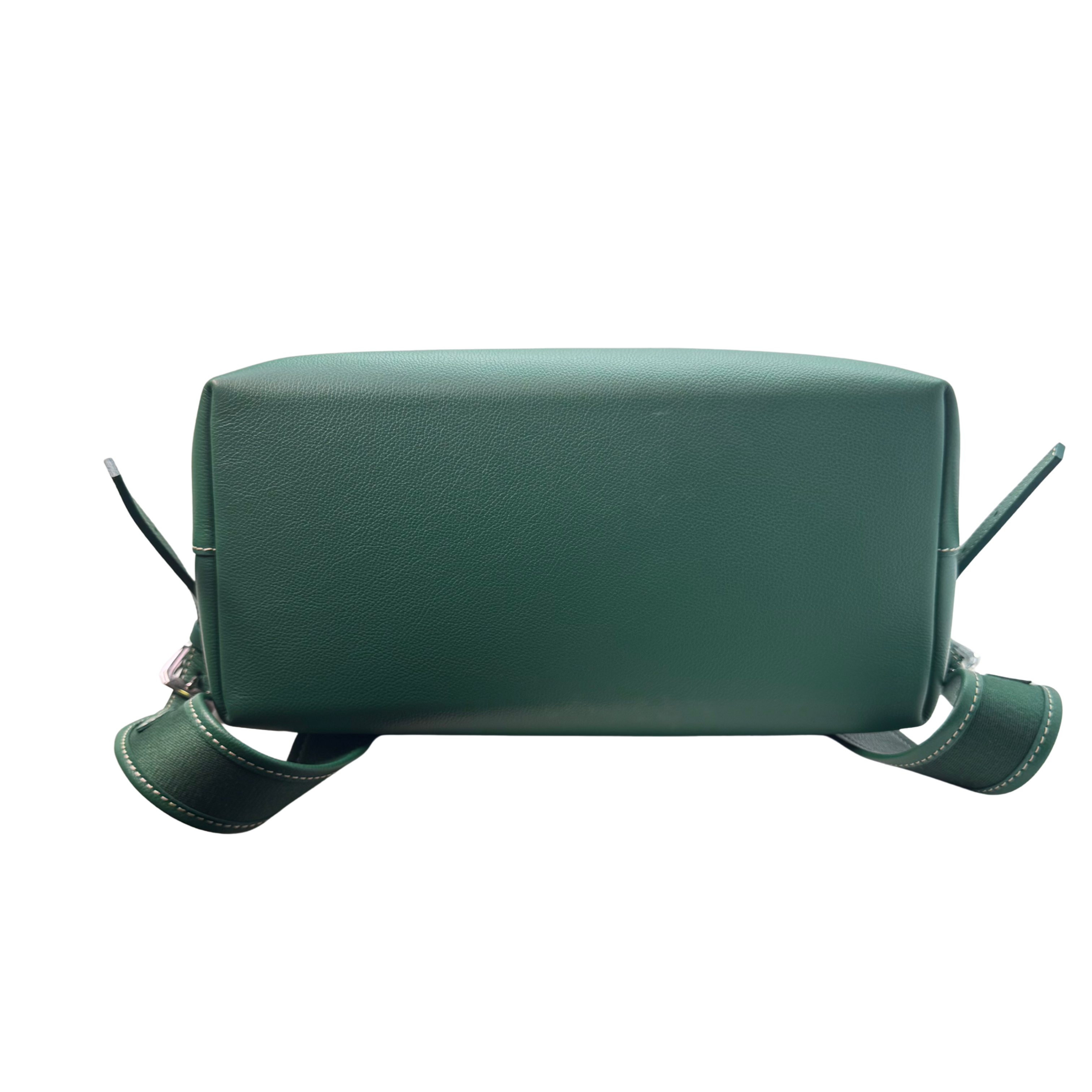 Goyard Cisalpin Backpack Bag Coated Canvas Green