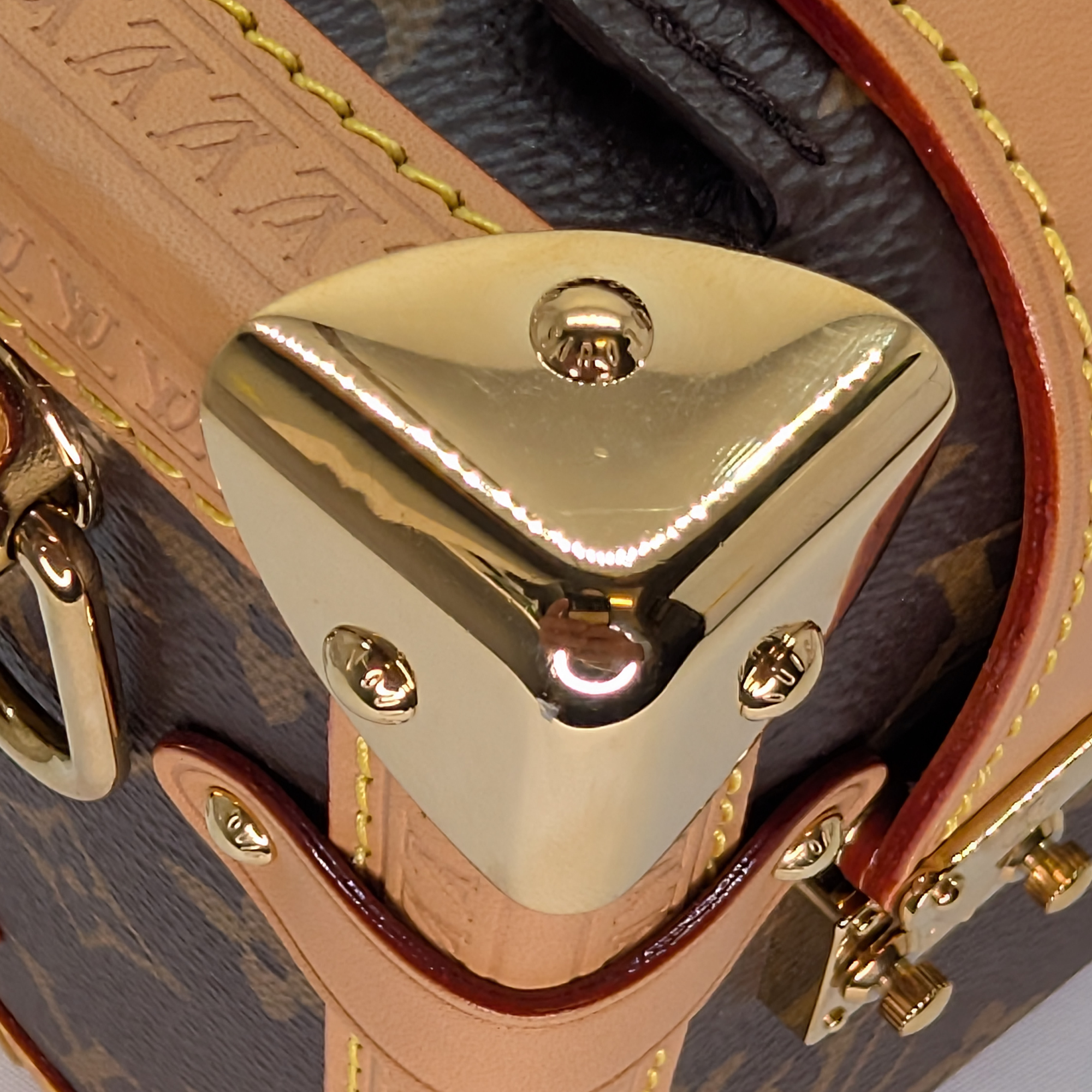 Louis Vuitton Side Trunk MM Monogram Bag