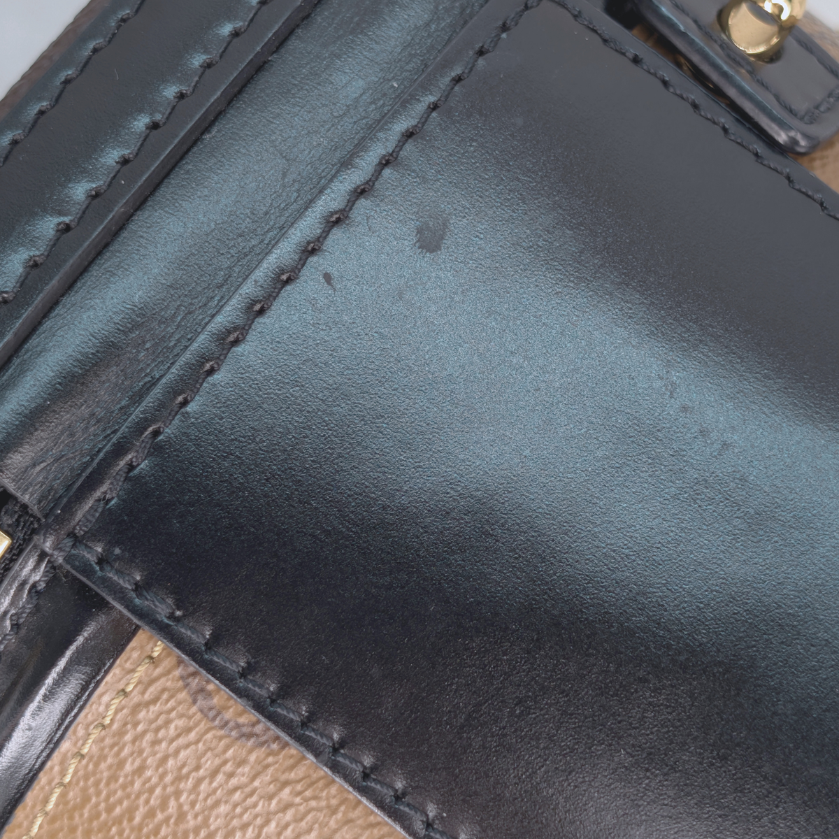 Louis Vuitton Cannes Monogram Reverse Canvas