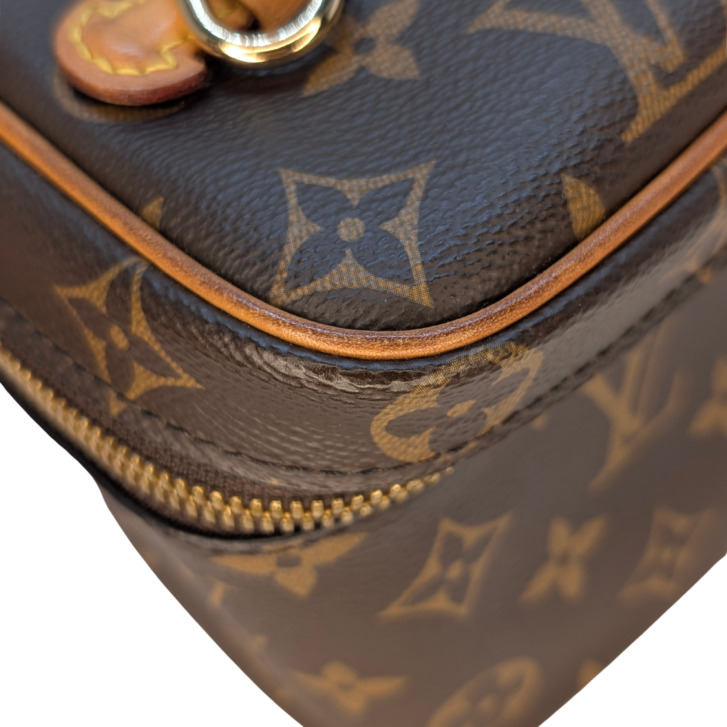 Louis Vuitton Nice Mini Beauty Case Monogram Bag