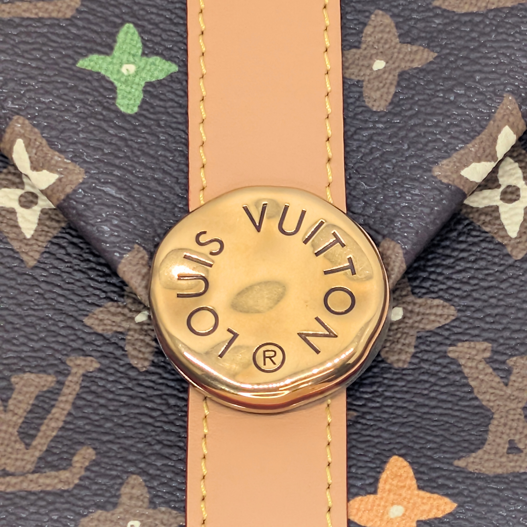 Louis Vuitton x Tyler, The Creator Monogram Craggy Messenger Bag