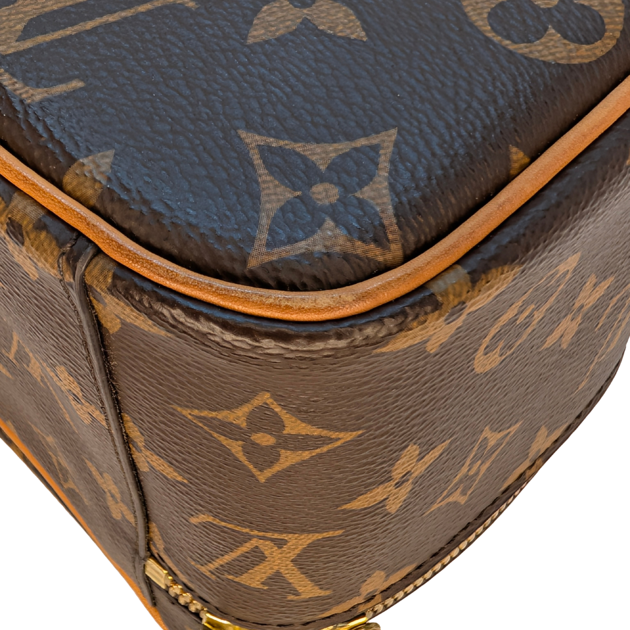 Louis Vuitton Nice Mini Beauty Case Monogram Bag