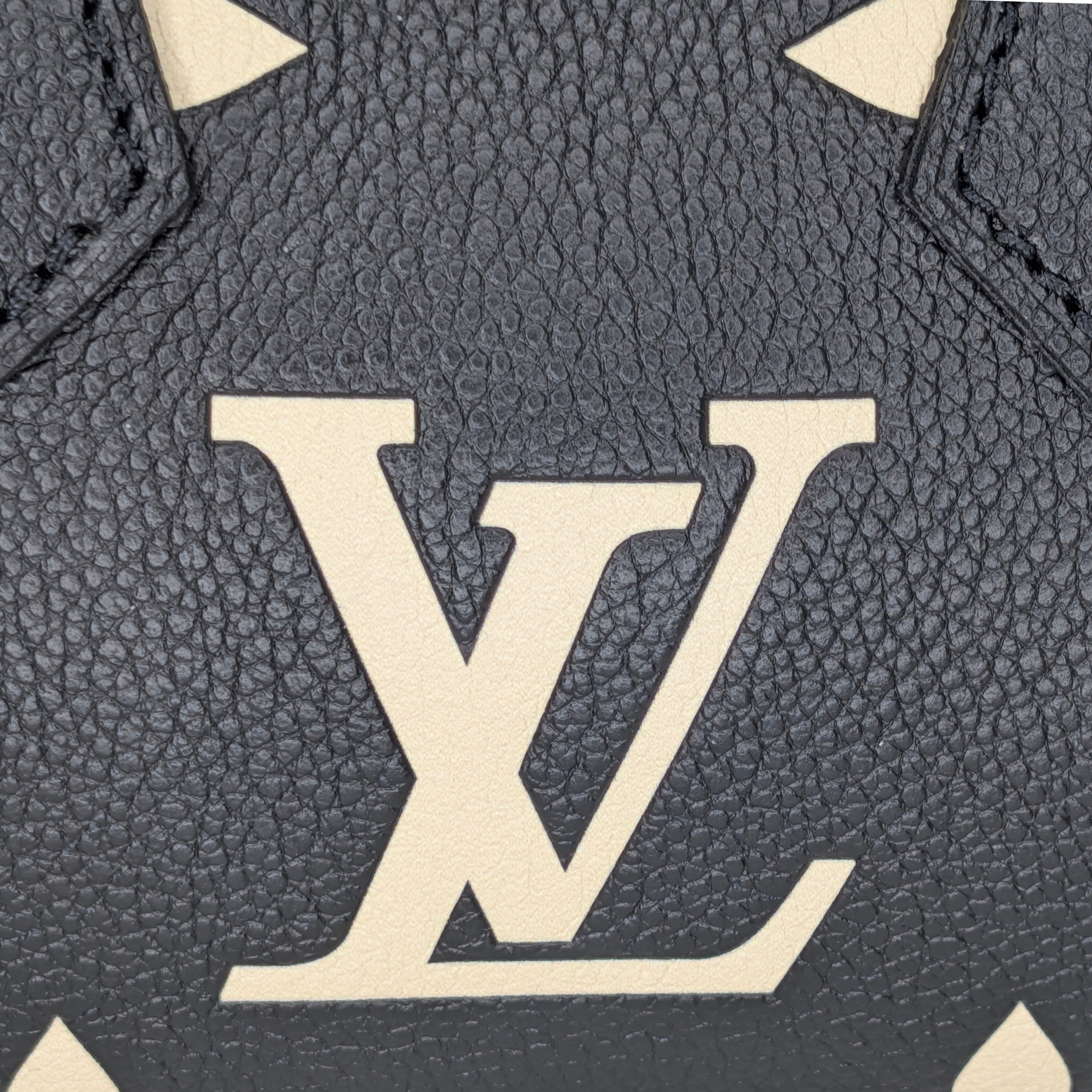 Louis Vuitton Nano Speedy Bicolor Monogram Giant Empreinte Leather Black