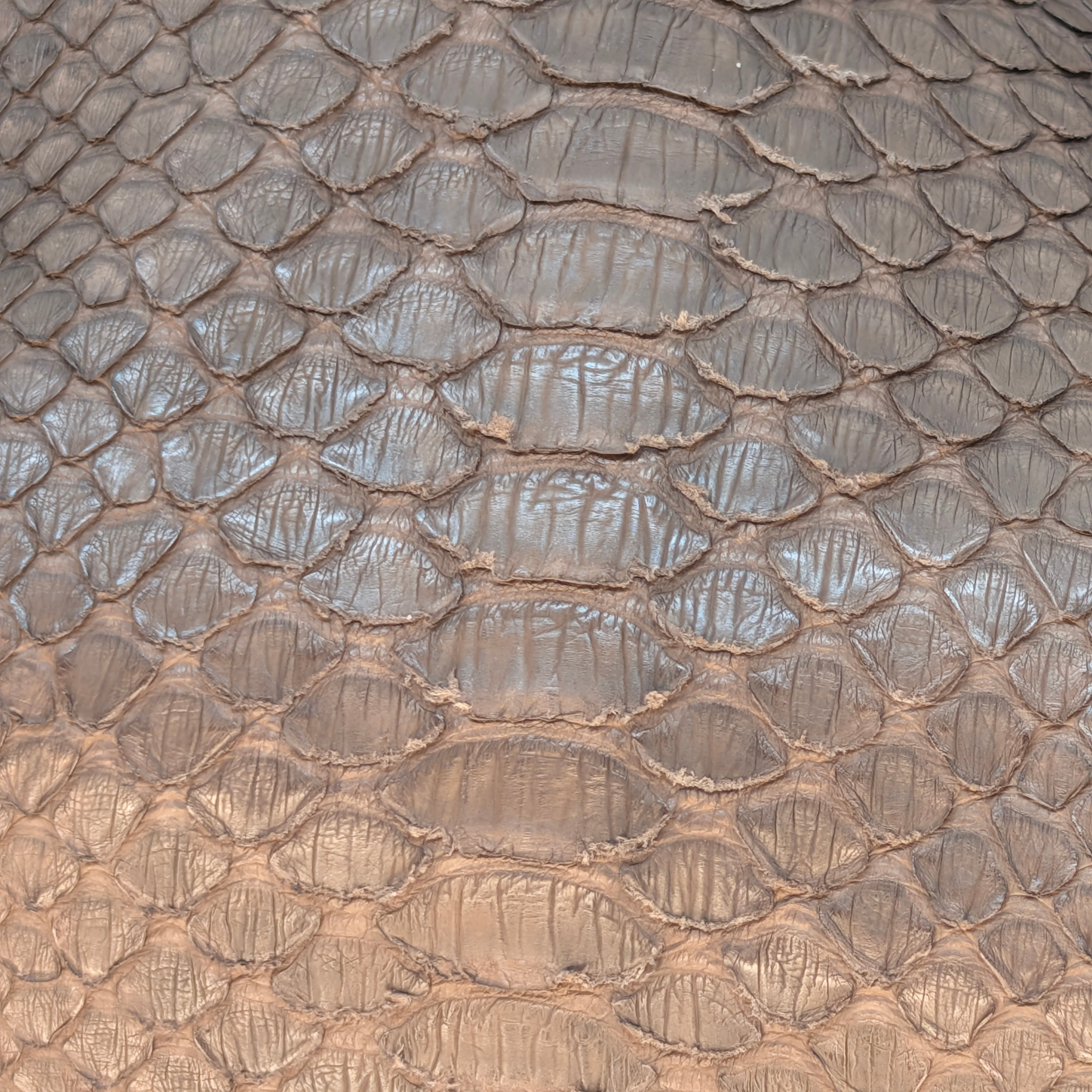 Bvlgari Limited Edition Brown Python Leather Chain Shoulder Bag