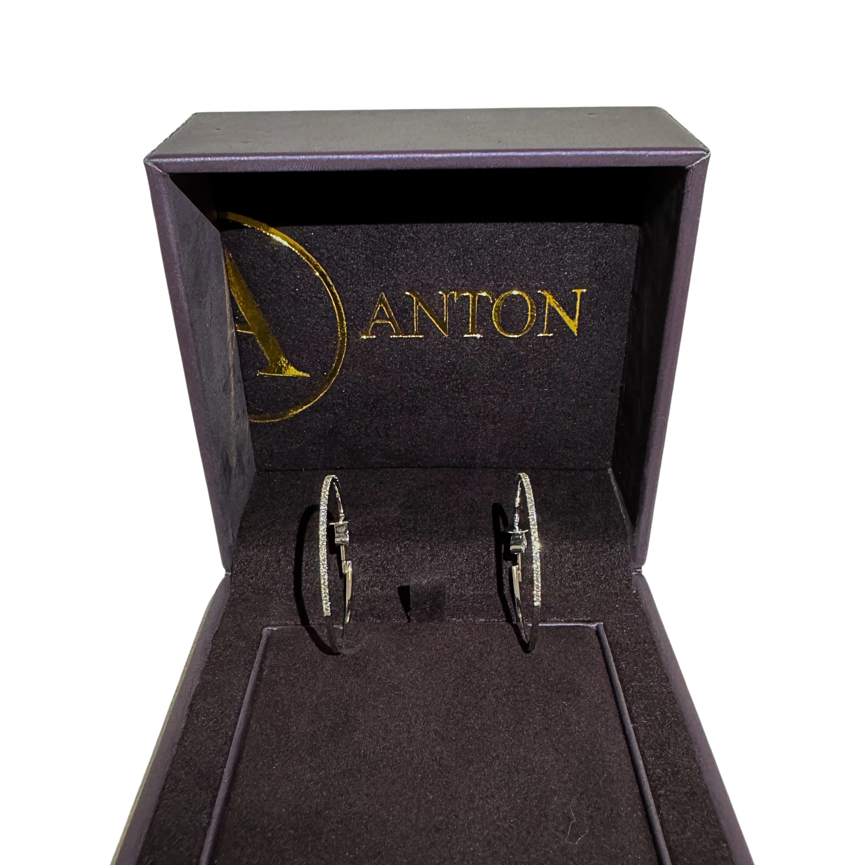 Anton Earrings (hoops)