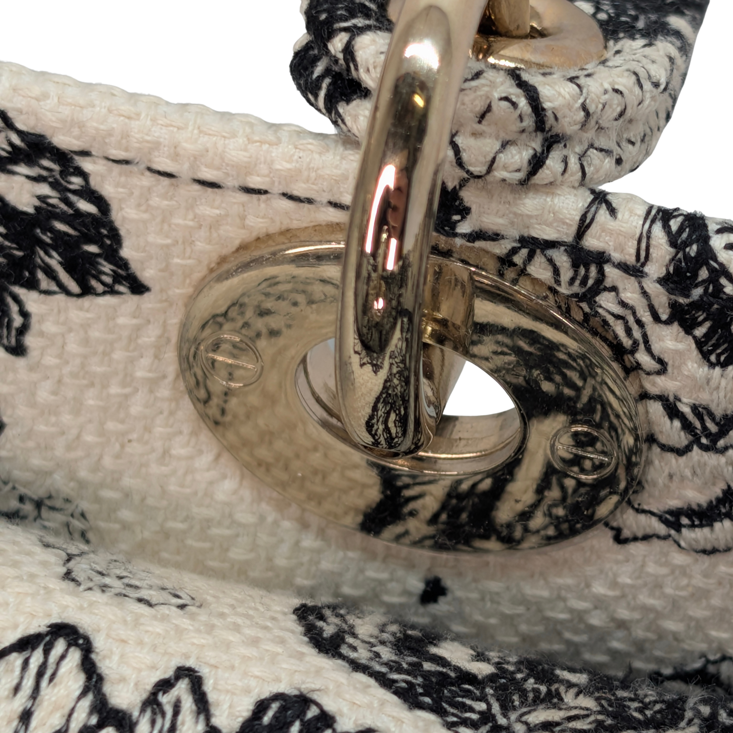 Dior Lady D-Lite Medium Toile de Jouy Zodiac Bag