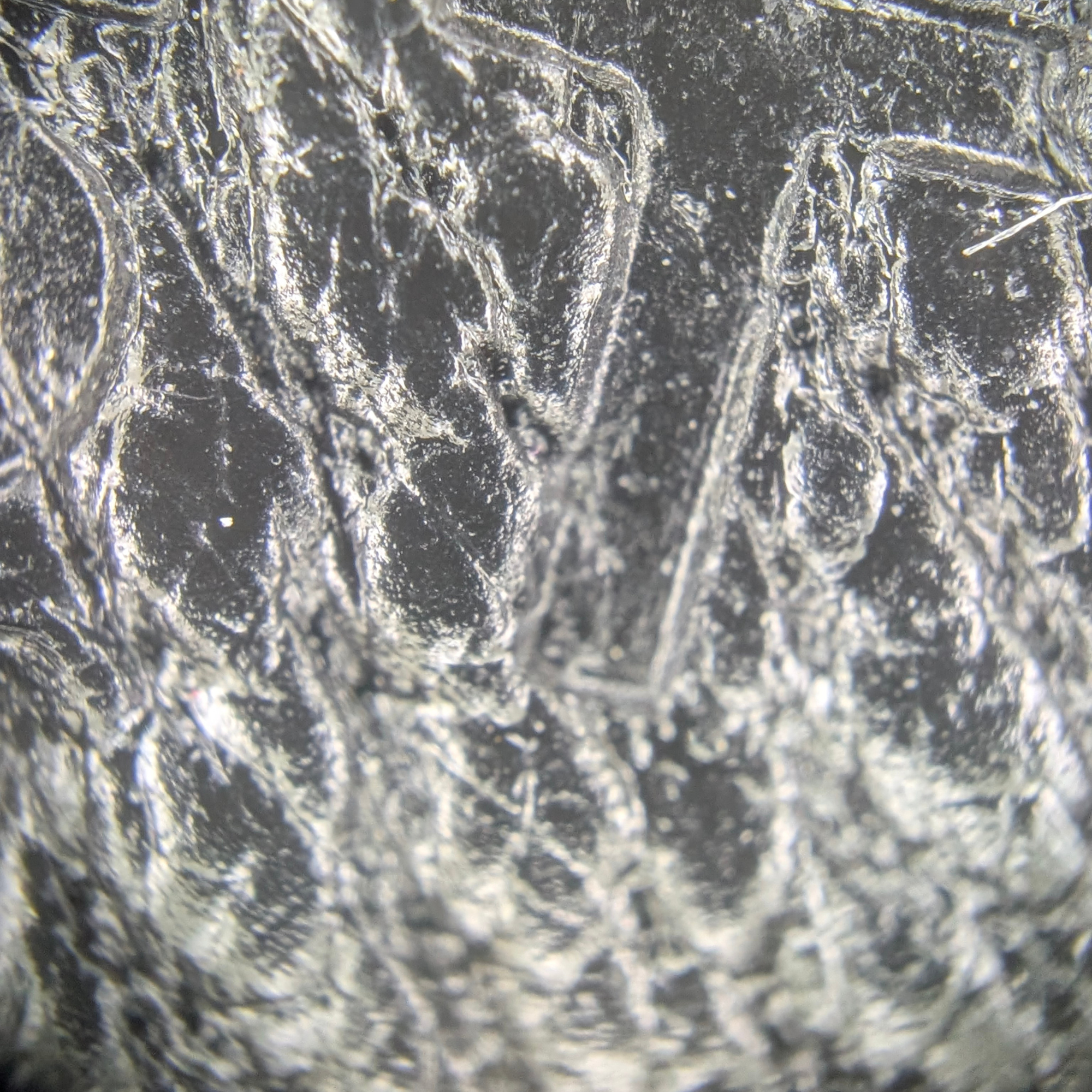 Hermès Kelly 28 SHW Box Leather W Stamp 2024 Black