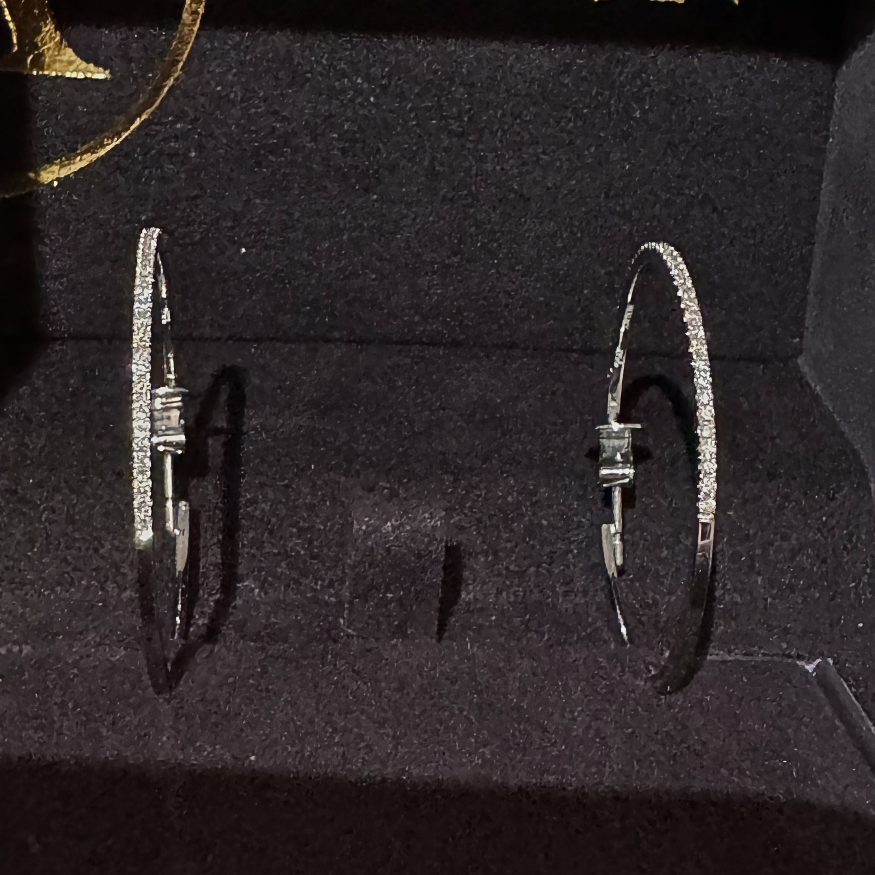 Anton Earrings (hoops)