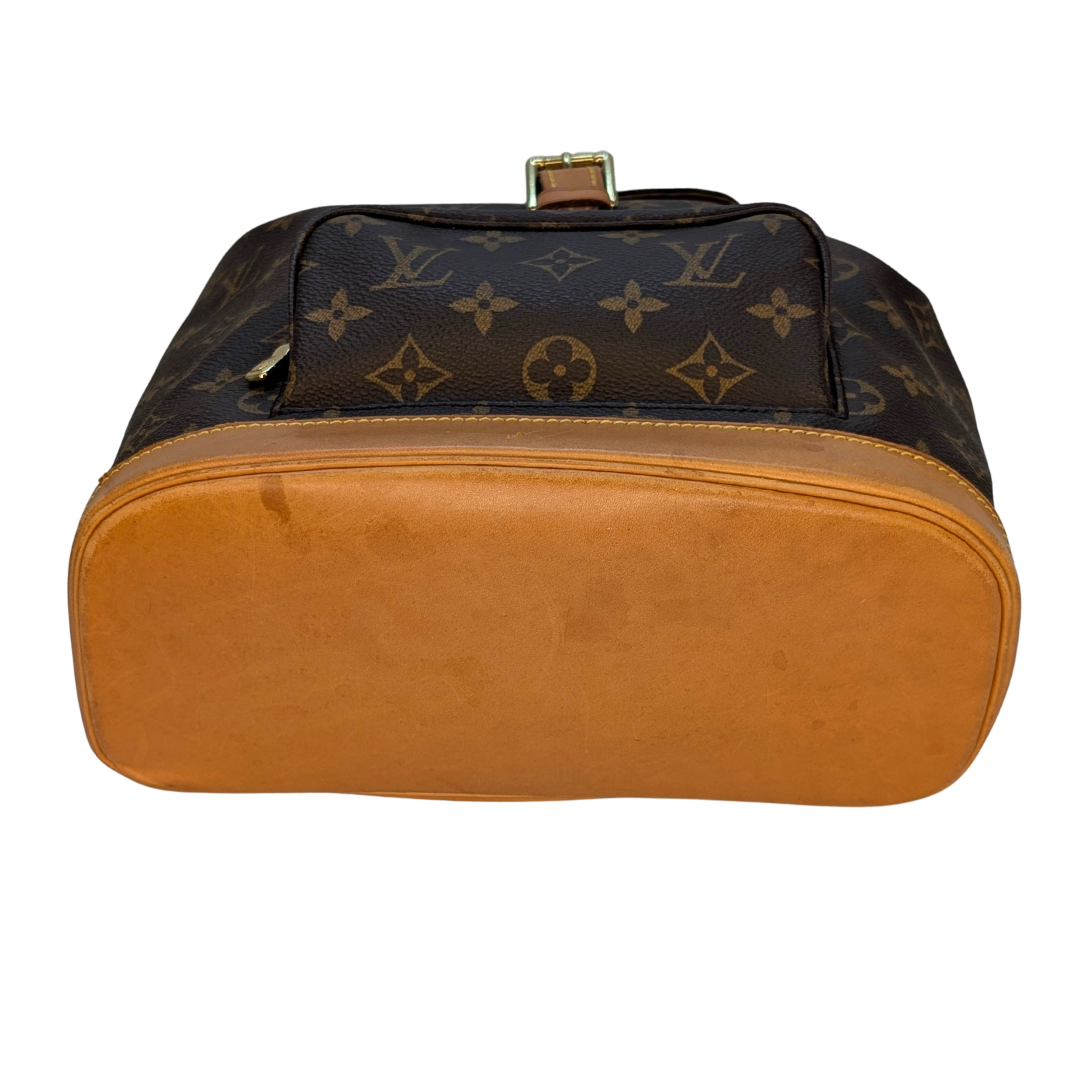 Louis Vuitton Monogram Montsouris MM Backpack