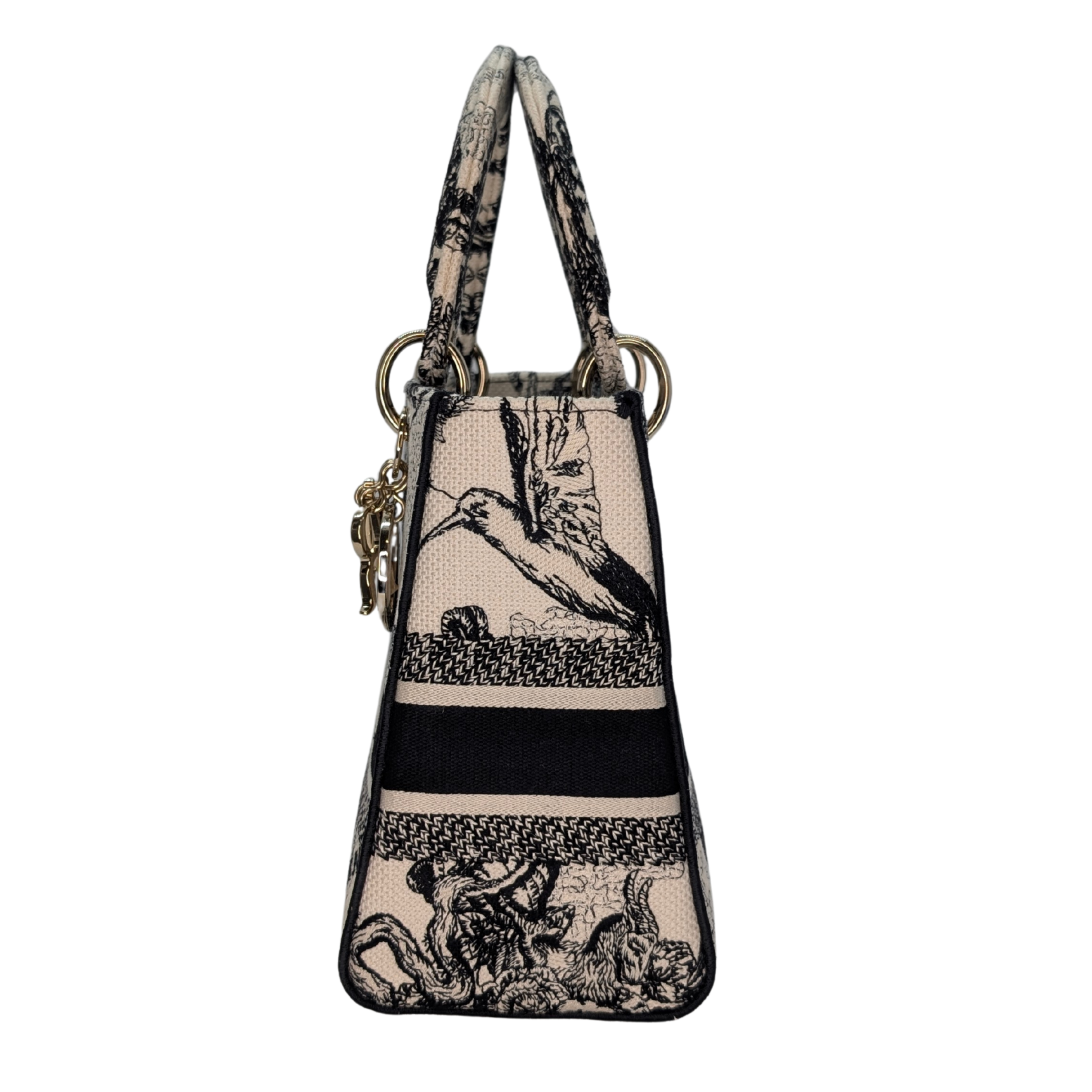 Dior Lady D-Lite Medium Toile de Jouy Zodiac Bag