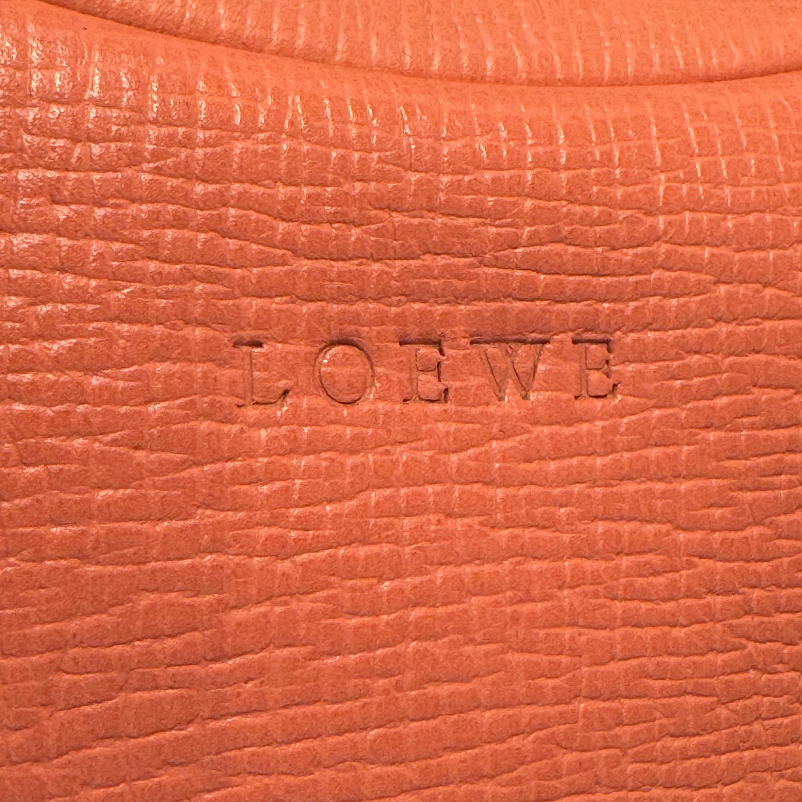 Loewe Leather Mini Bag Pink