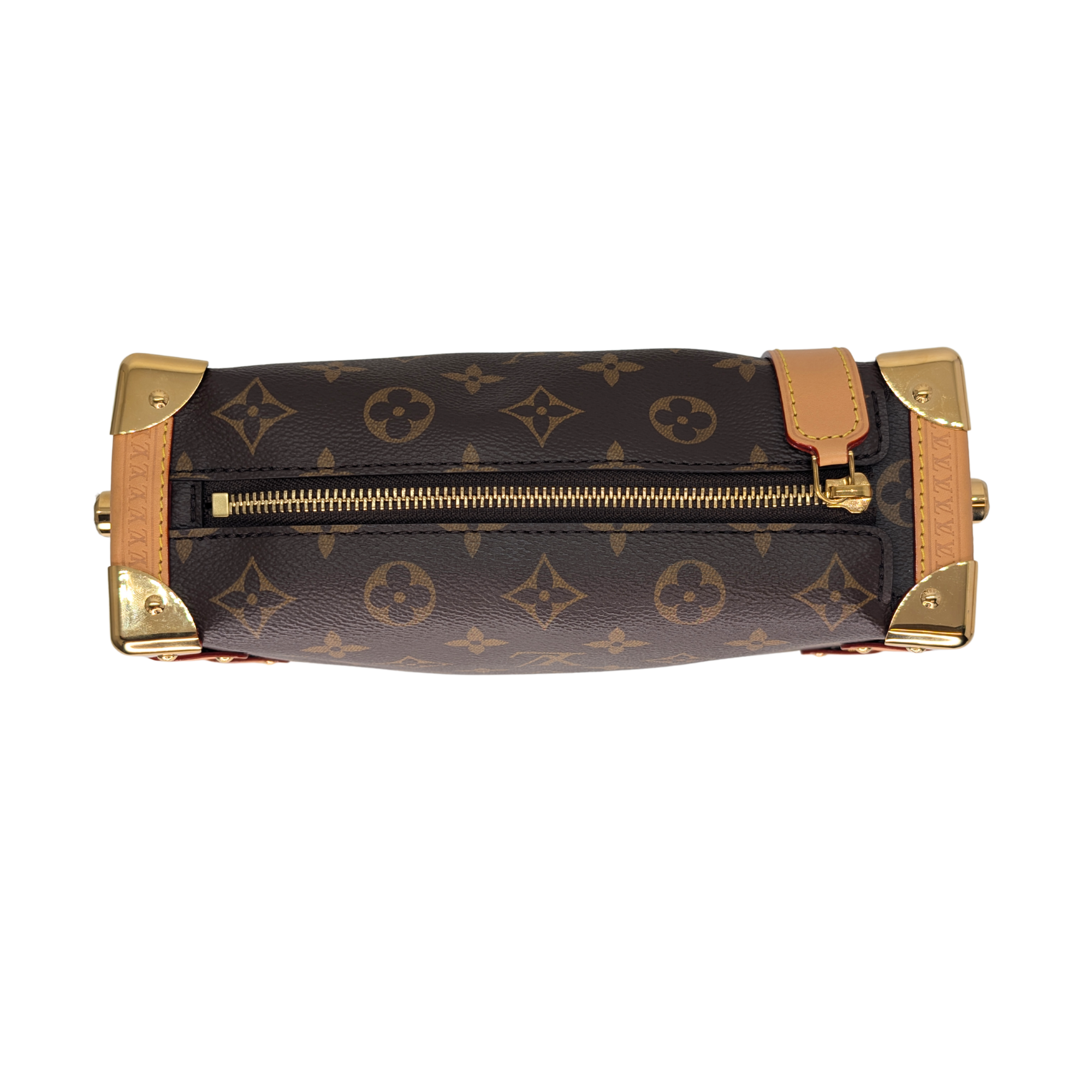 Louis Vuitton Side Trunk MM Monogram Bag