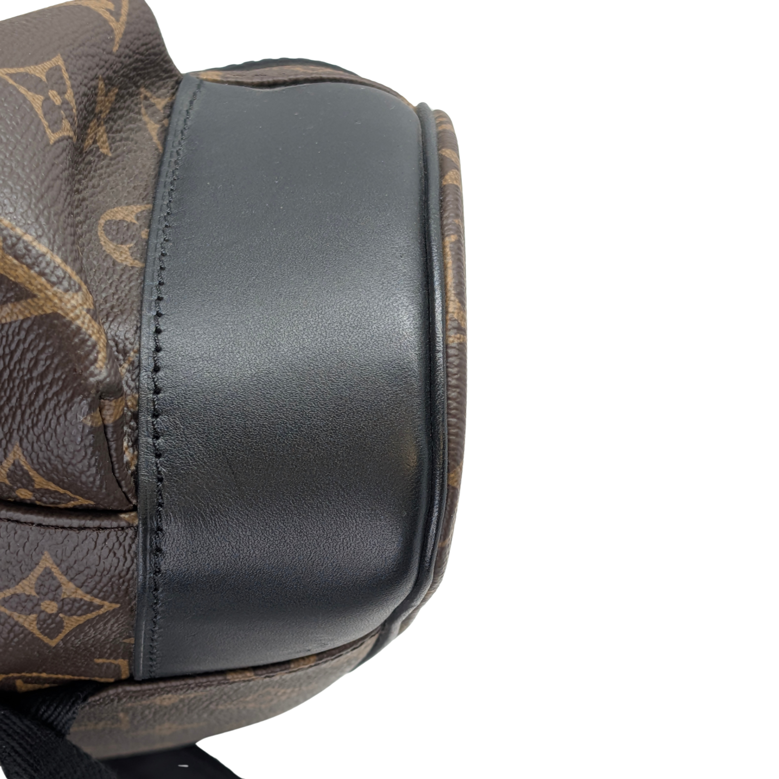 Louis Vuitton Christopher MM Backpack in Monogram Macassar Canvas