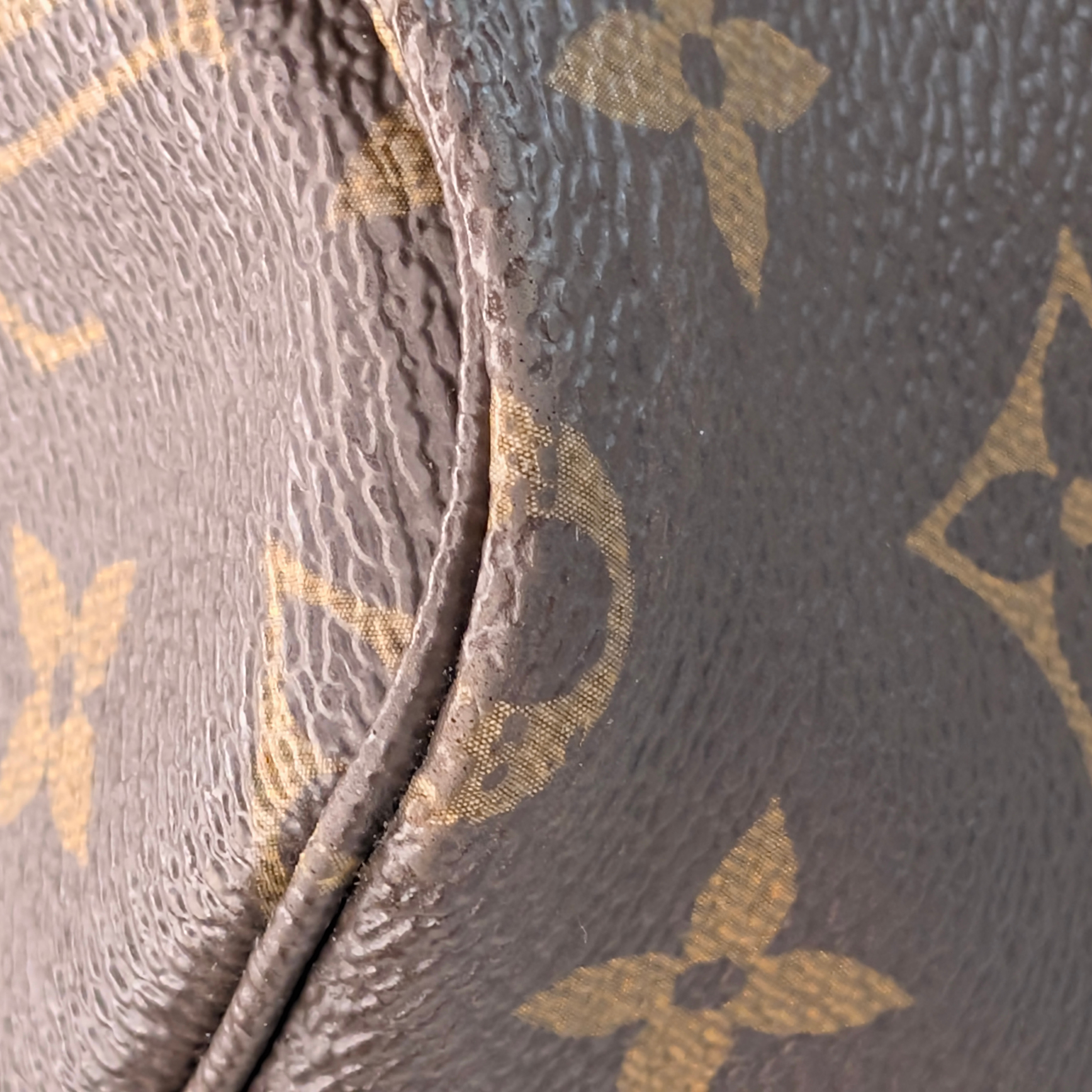 Louis Vuitton Neverfull GM Monogram Bag