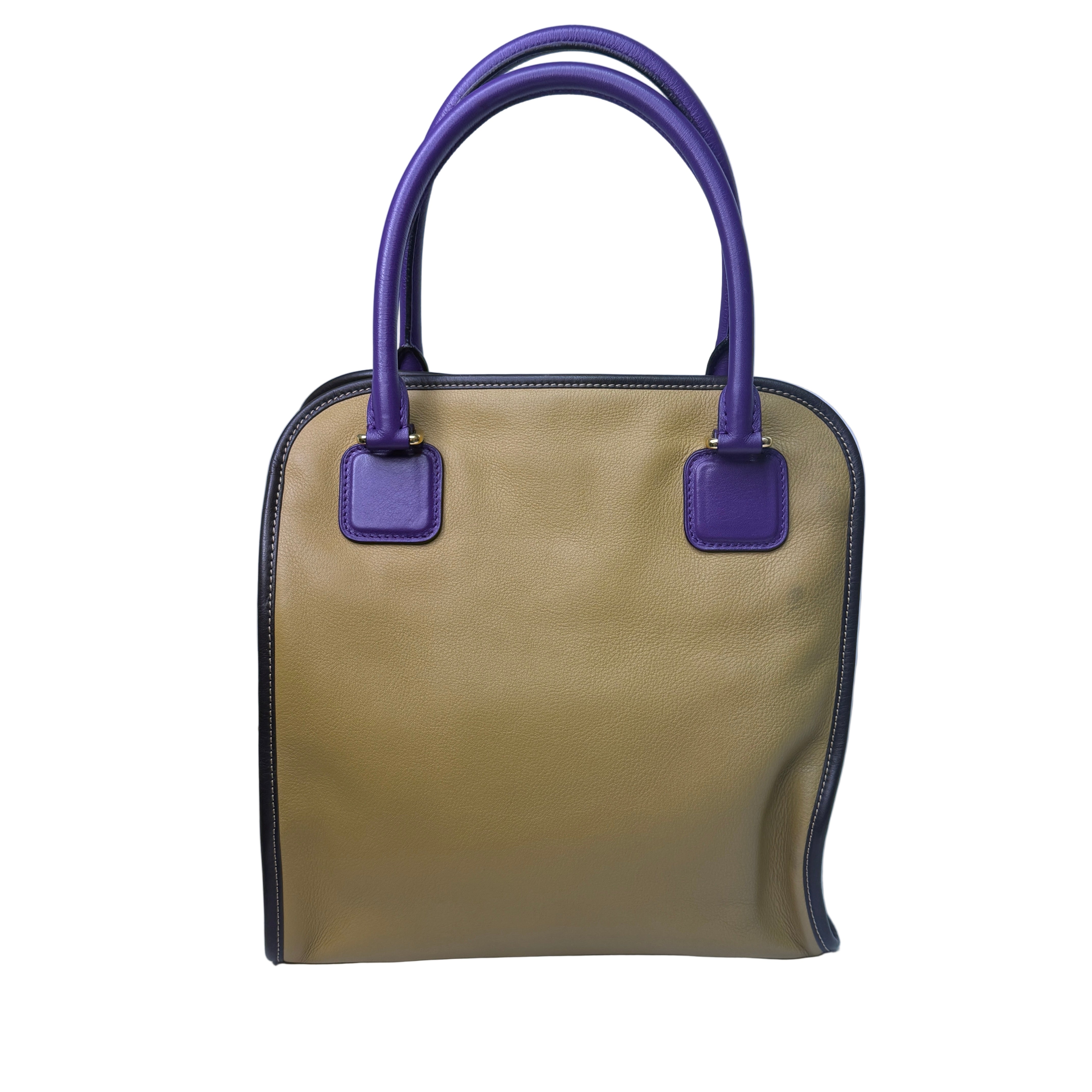 Loewe Tricolour Pebbled Handbag Leather Tan Purple